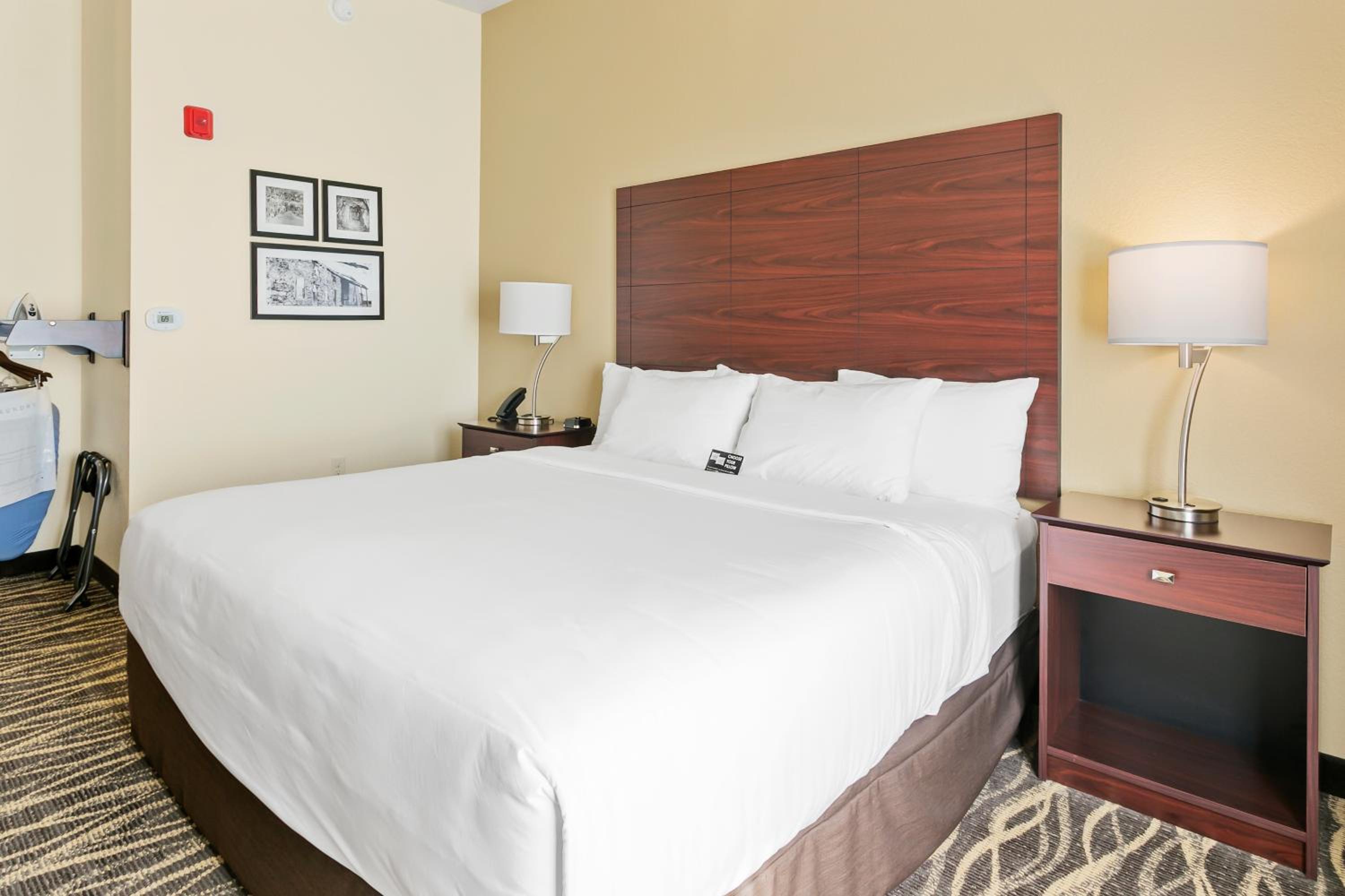 King Room with Roll-In Shower - Disability Access - Photo 1