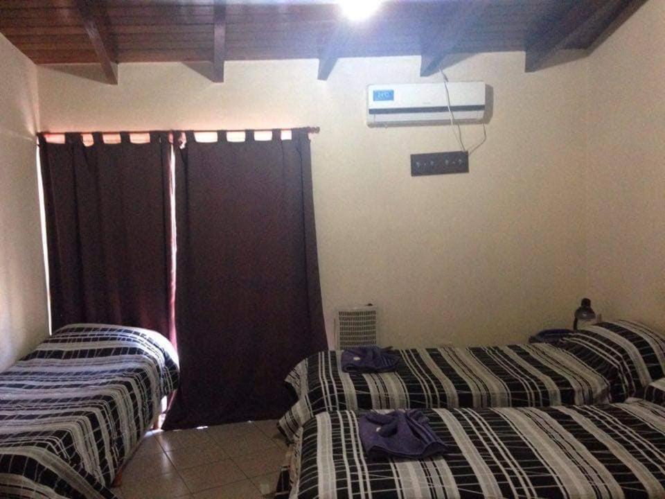 Twin Room photo 1