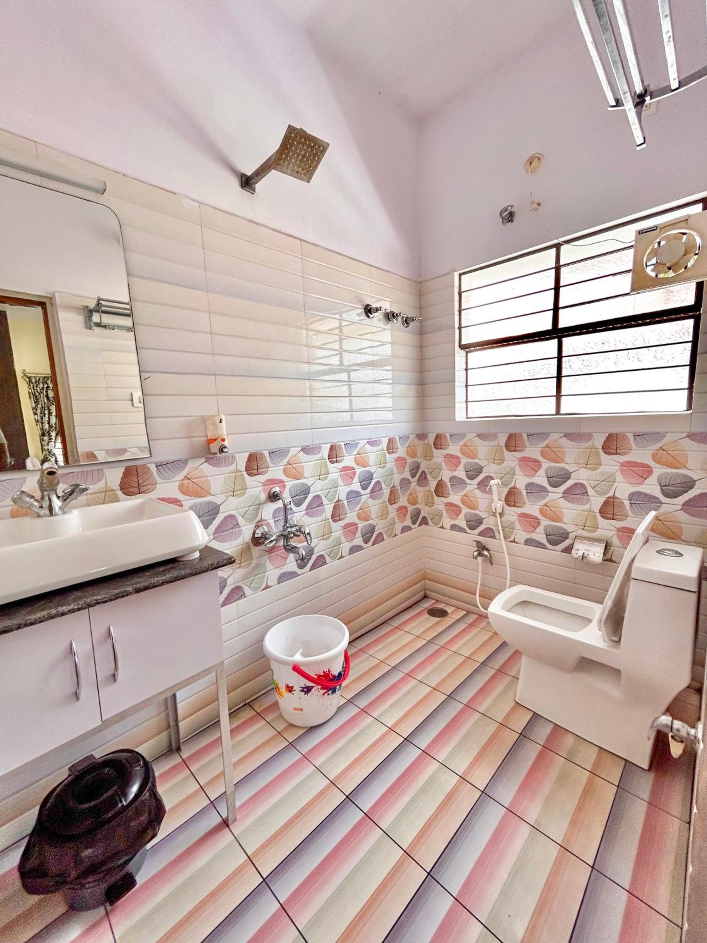Single Room photo 2