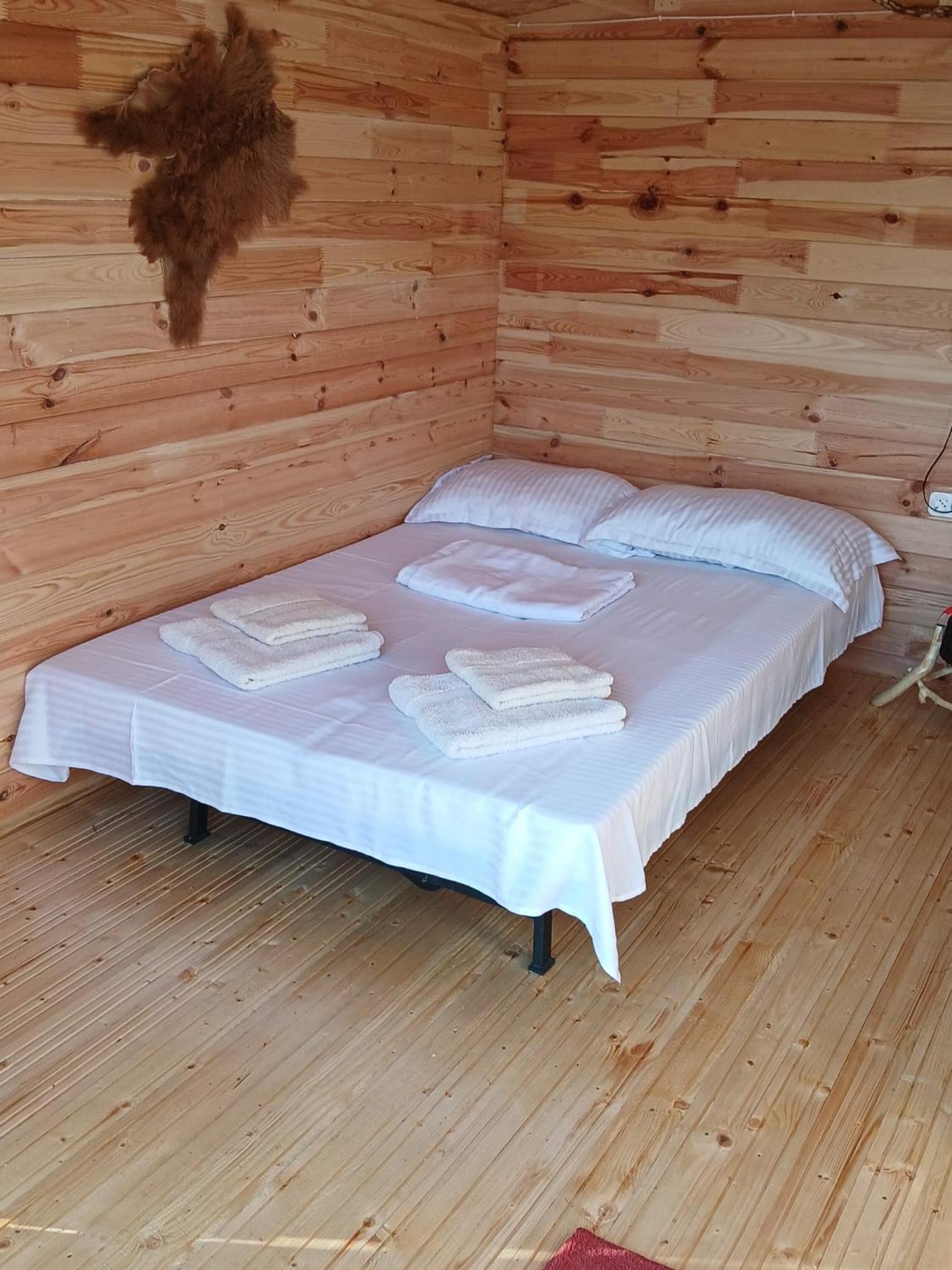 Mobile Home photo 1