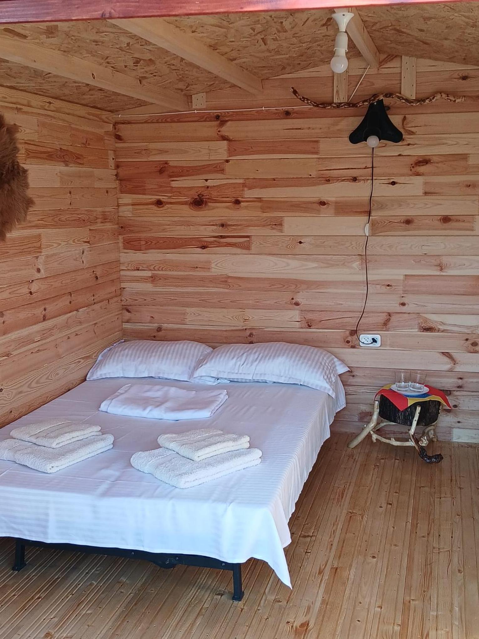Mobile Home photo 2