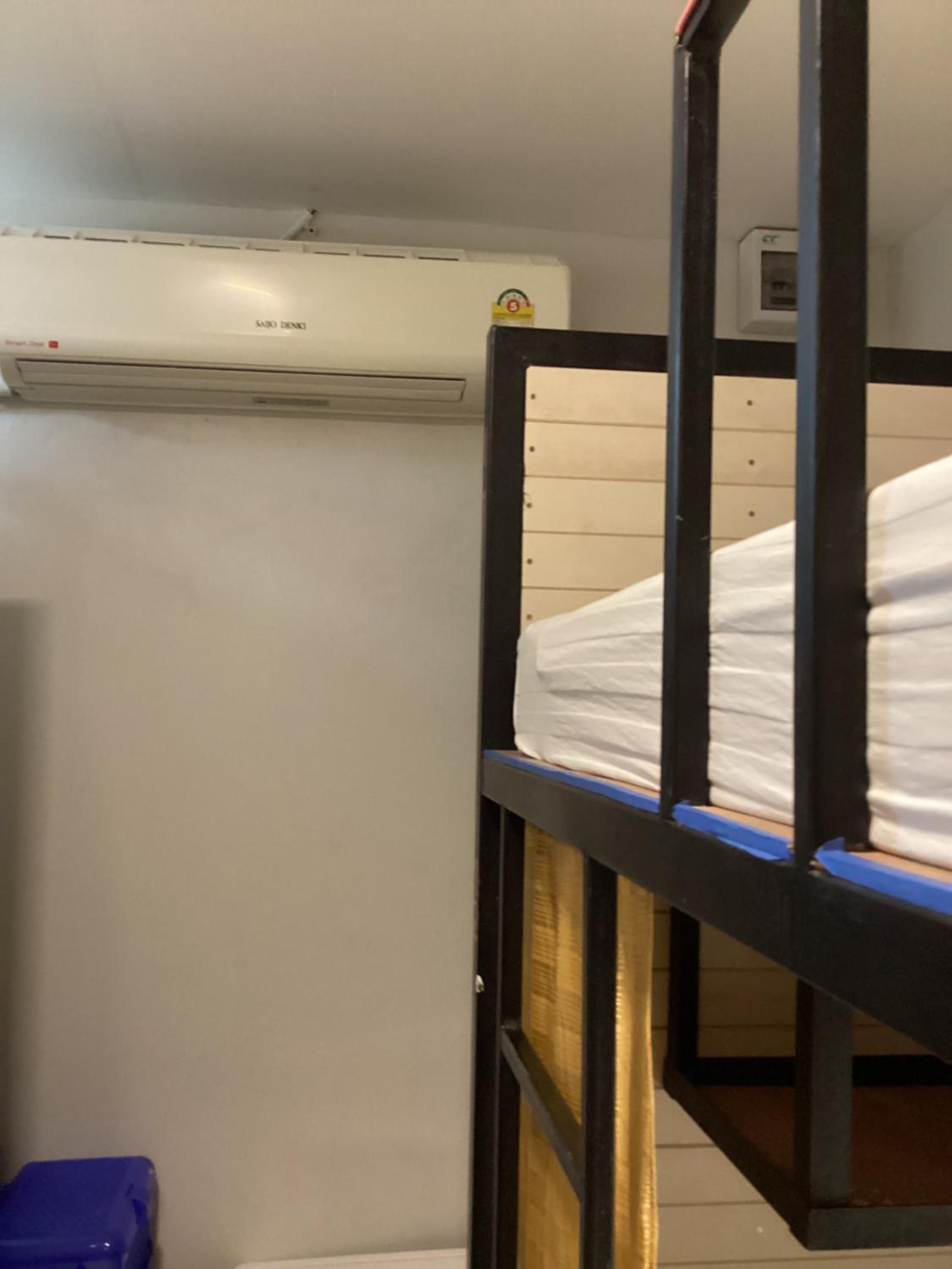 Bunk Bed in Mixed Dormitory Room photo 3