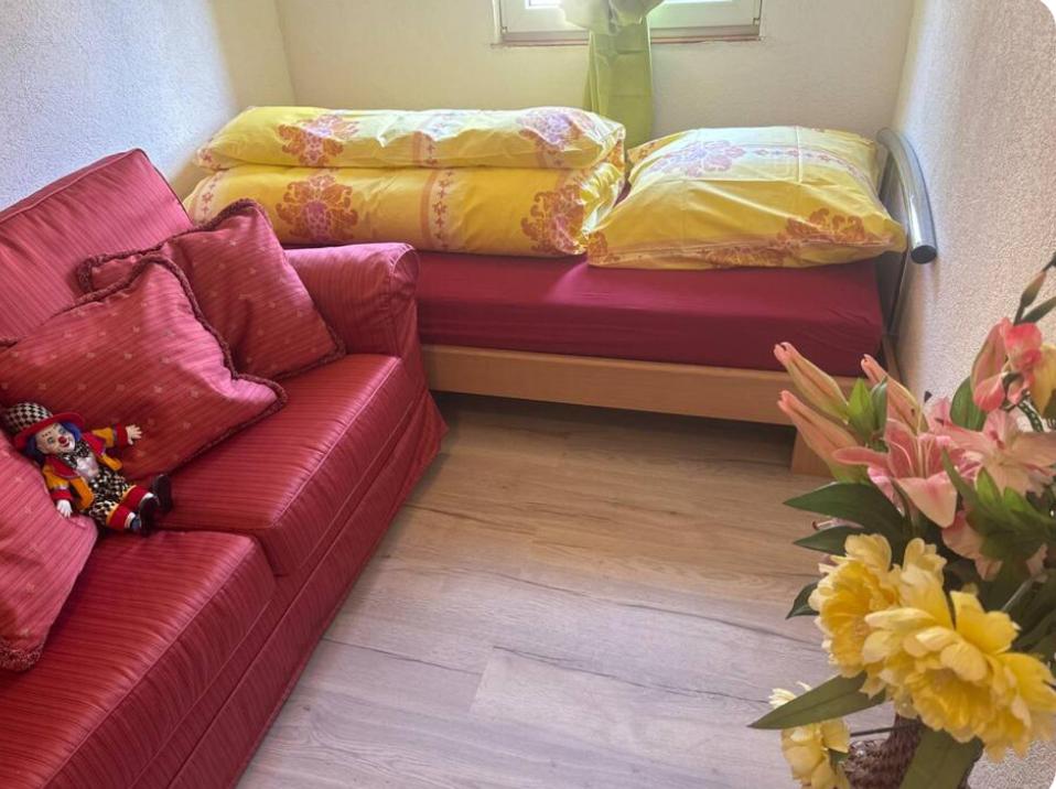 Deluxe Single Room photo 2