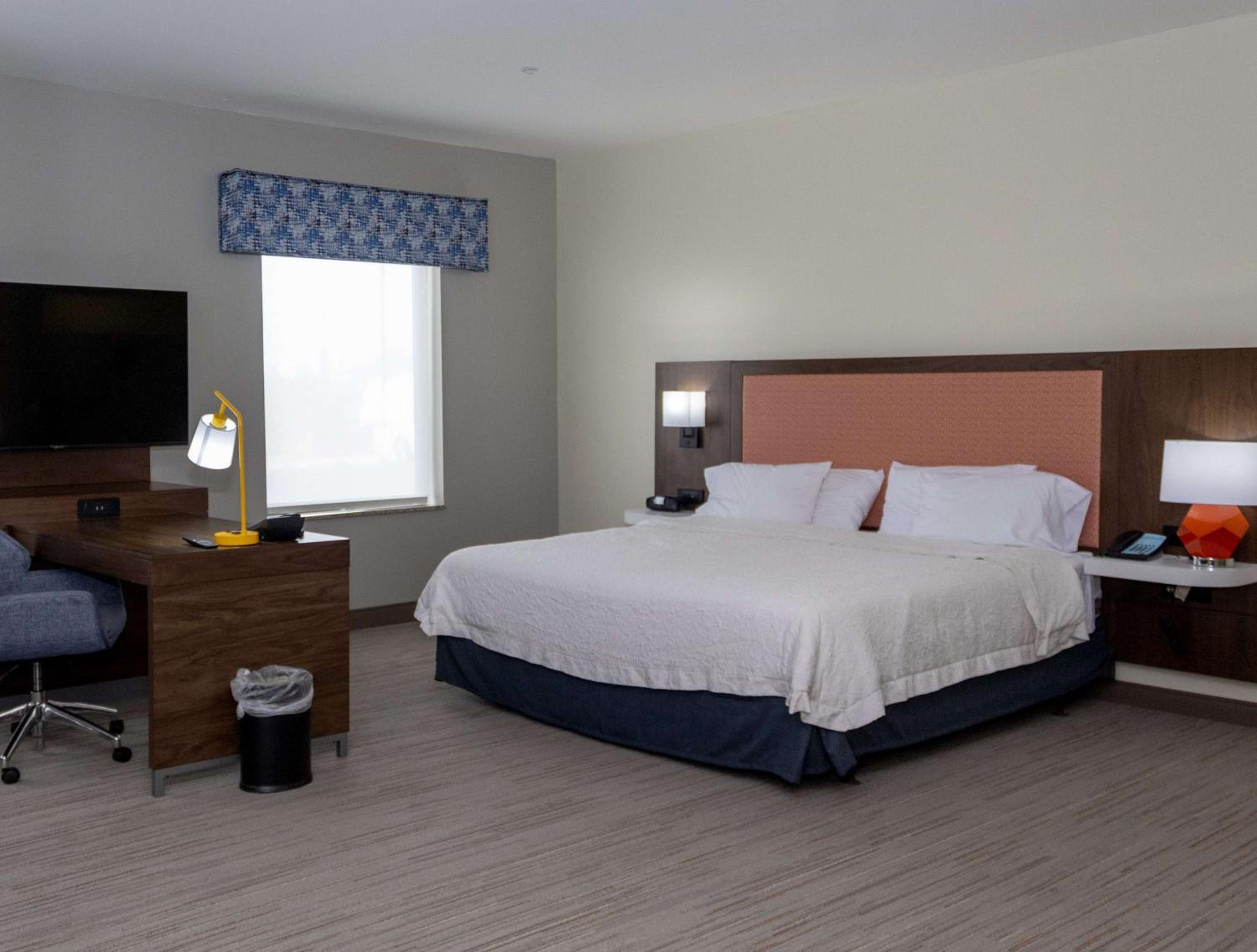 King Suite - Photo 9