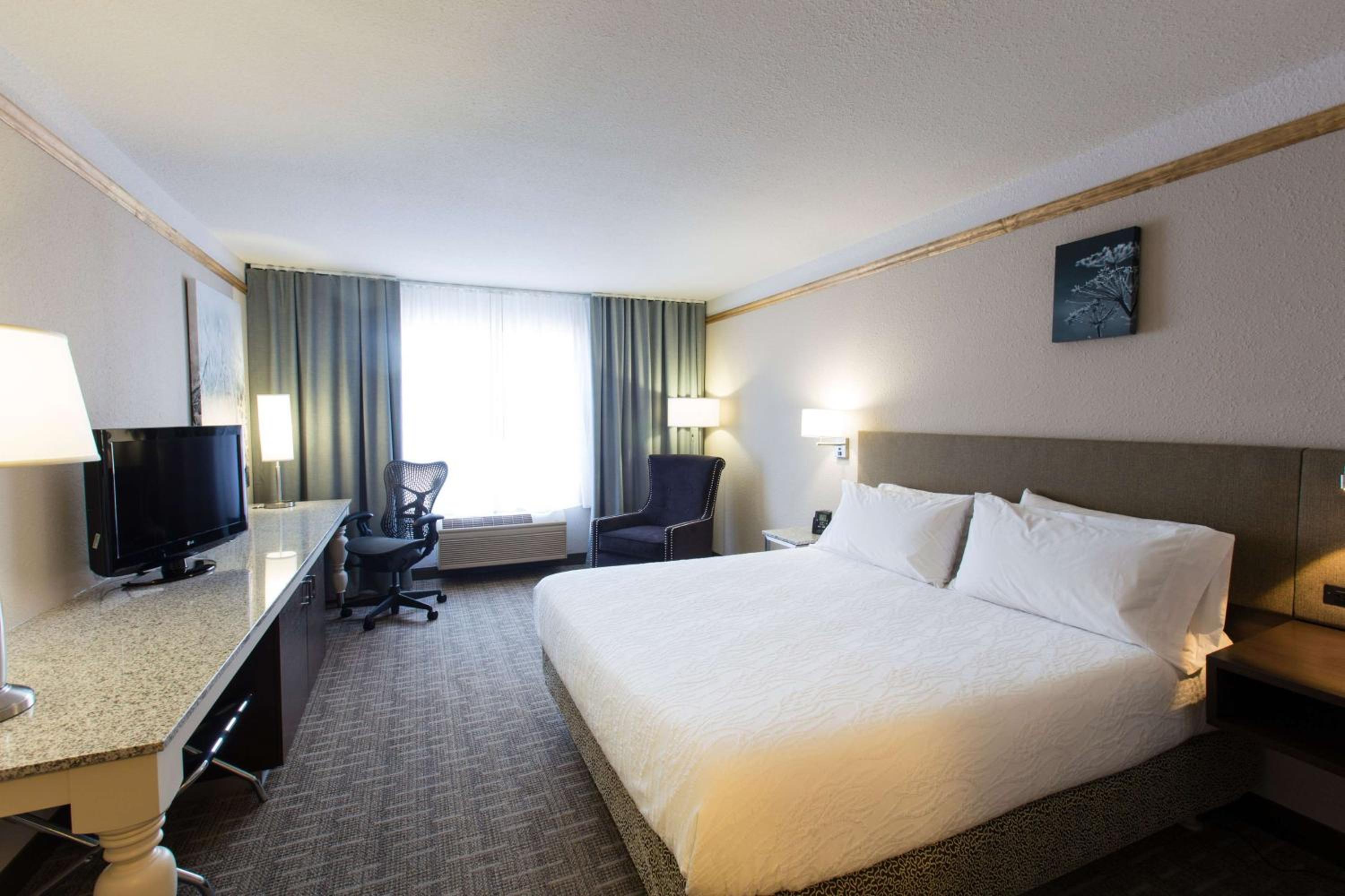 King Room - Photo 1