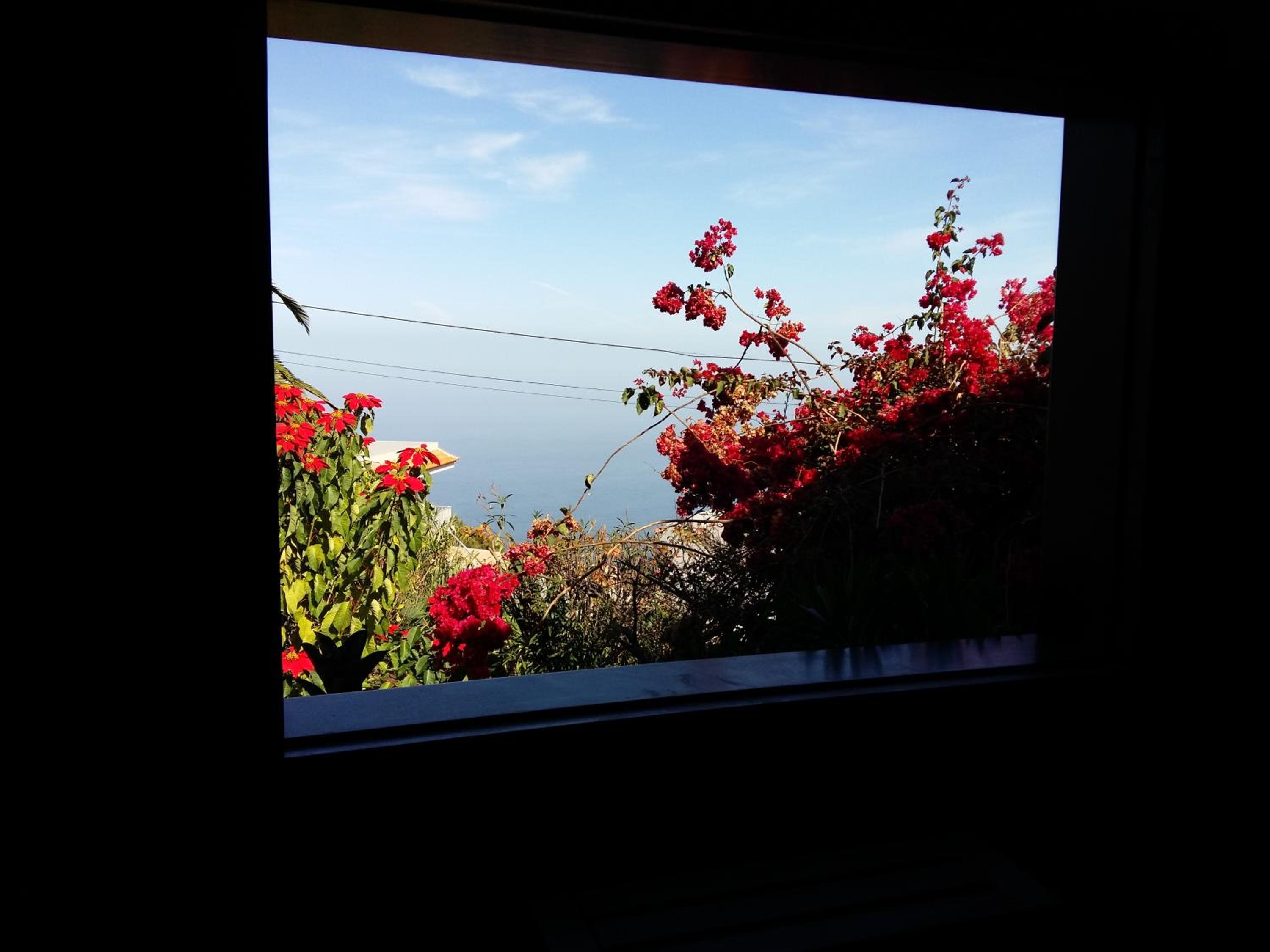Apartment with Terrace - Photo 8