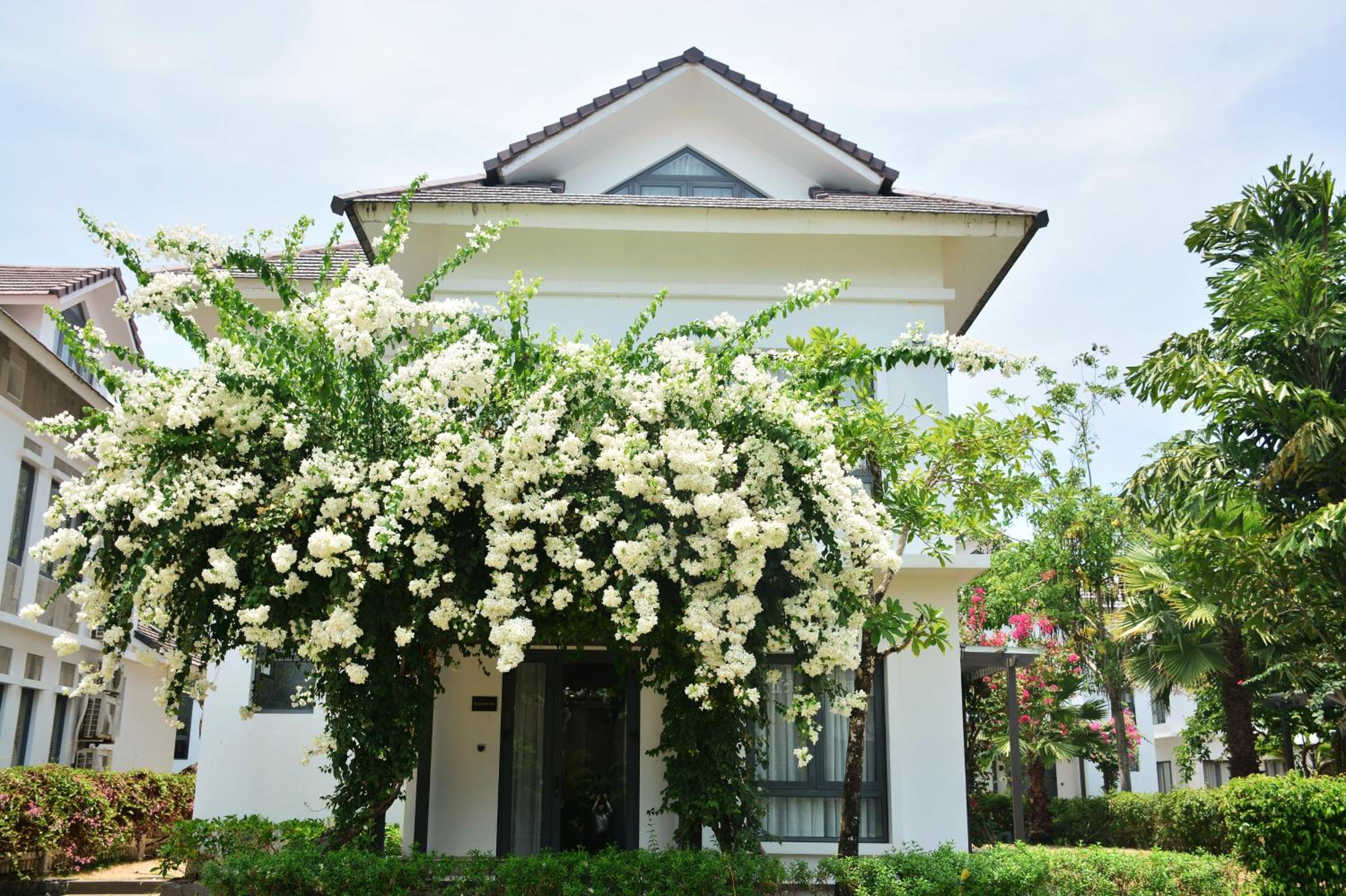 Four-Bedroom Villa with Garden View