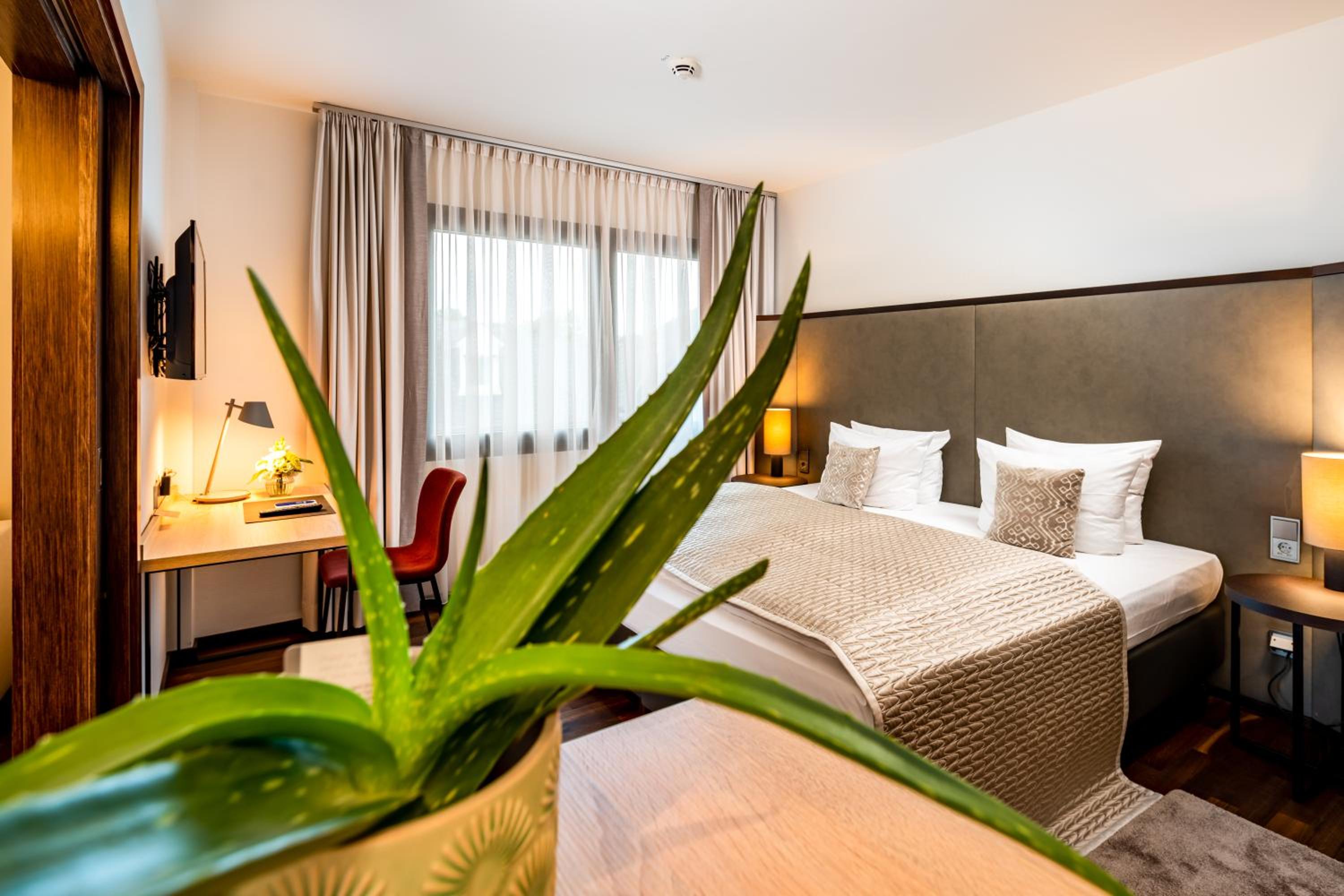 Grand Suite - Photo 4