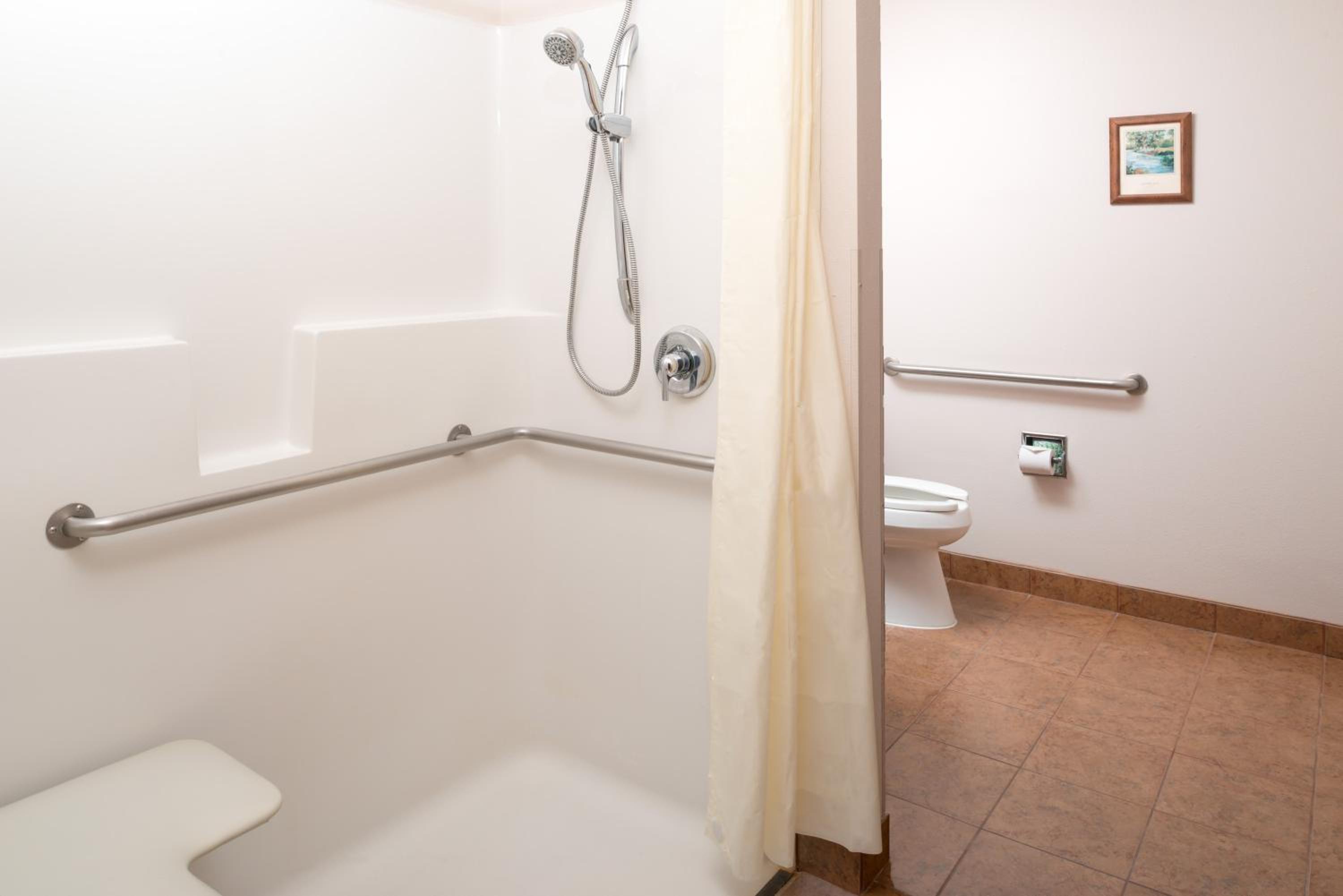 King Studio Suite - Mobility Access/Non-Smoking - Photo 2