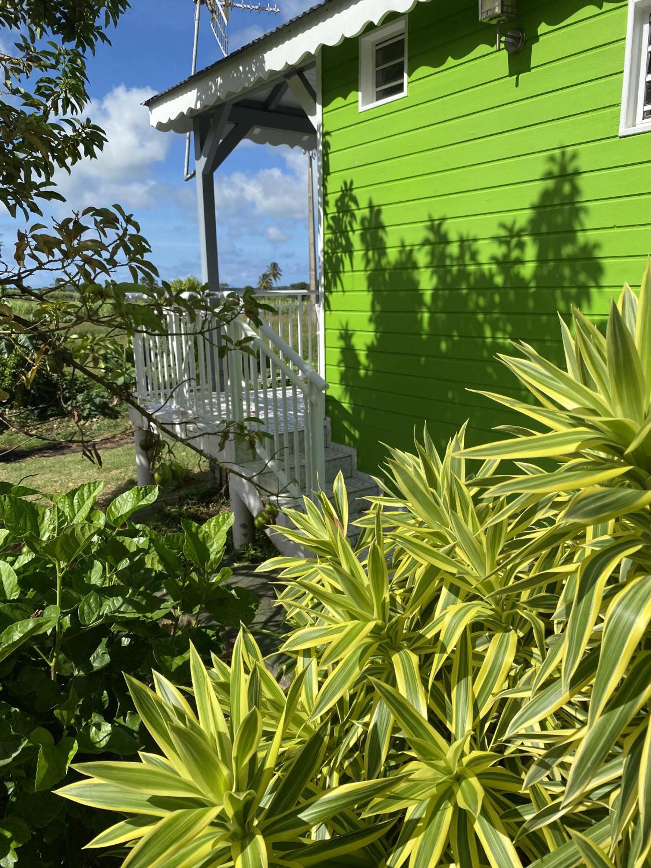 One-Bedroom Bungalow photo 3