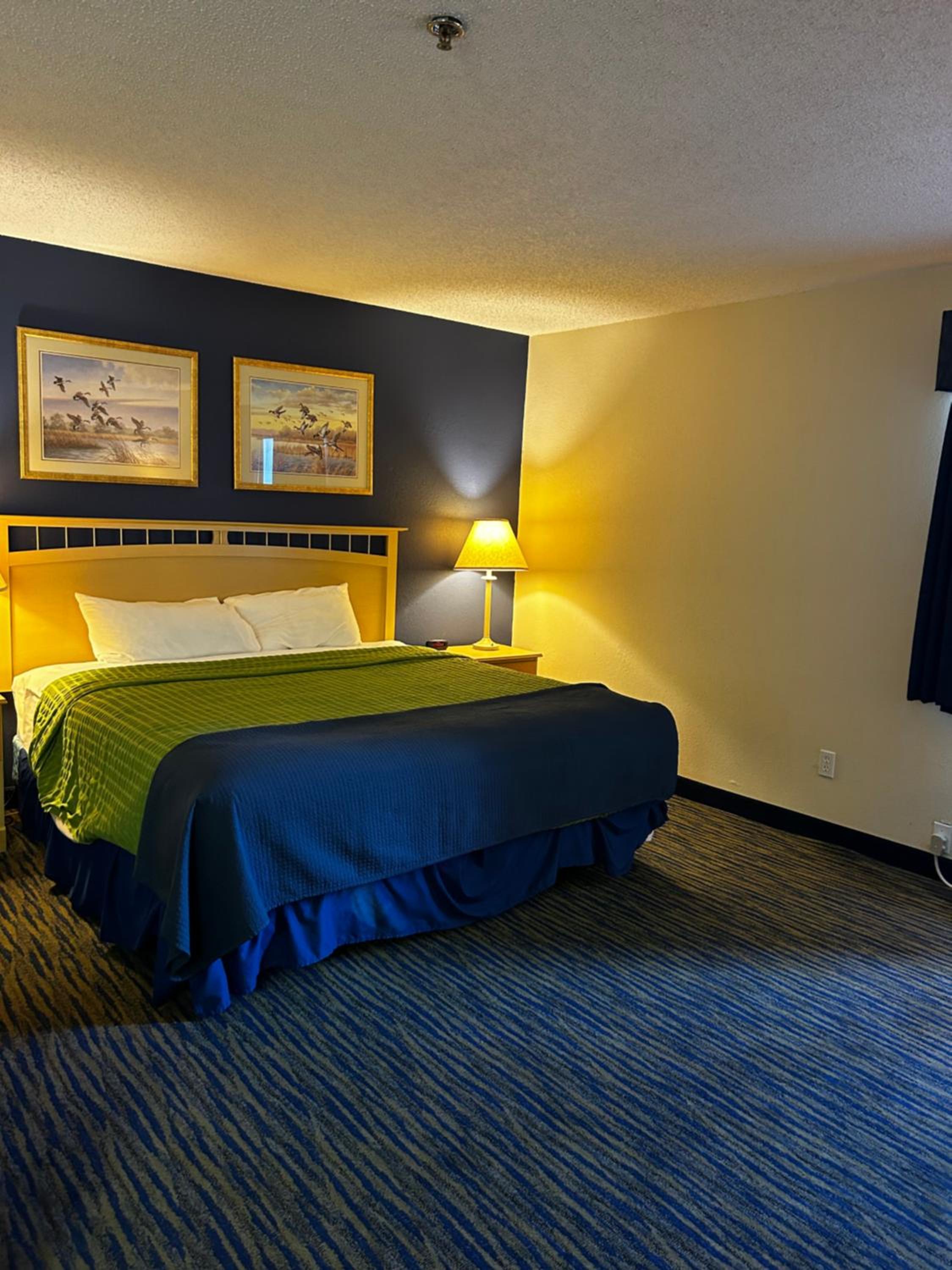 Deluxe King Suite