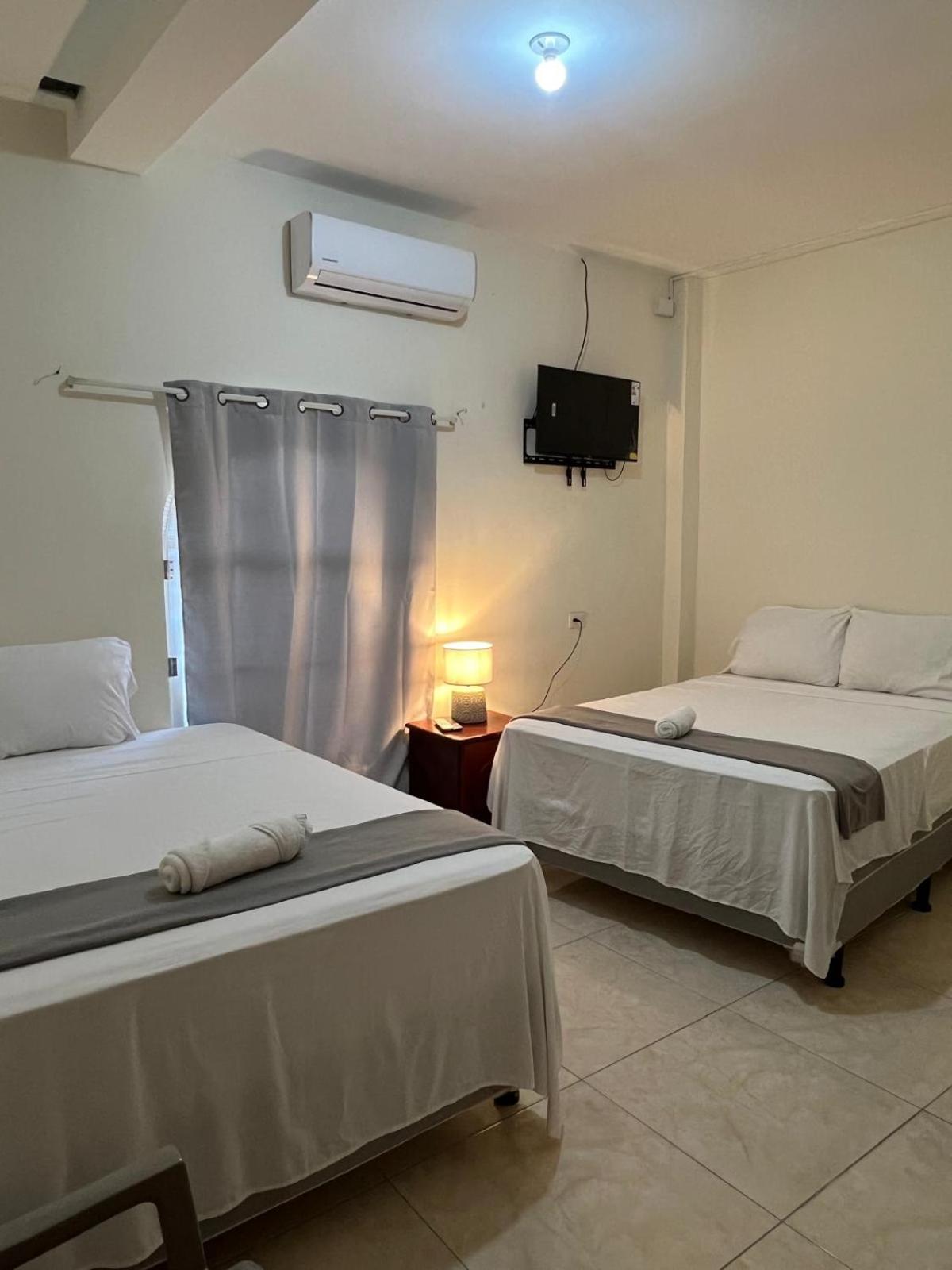 Twin Room photo 2