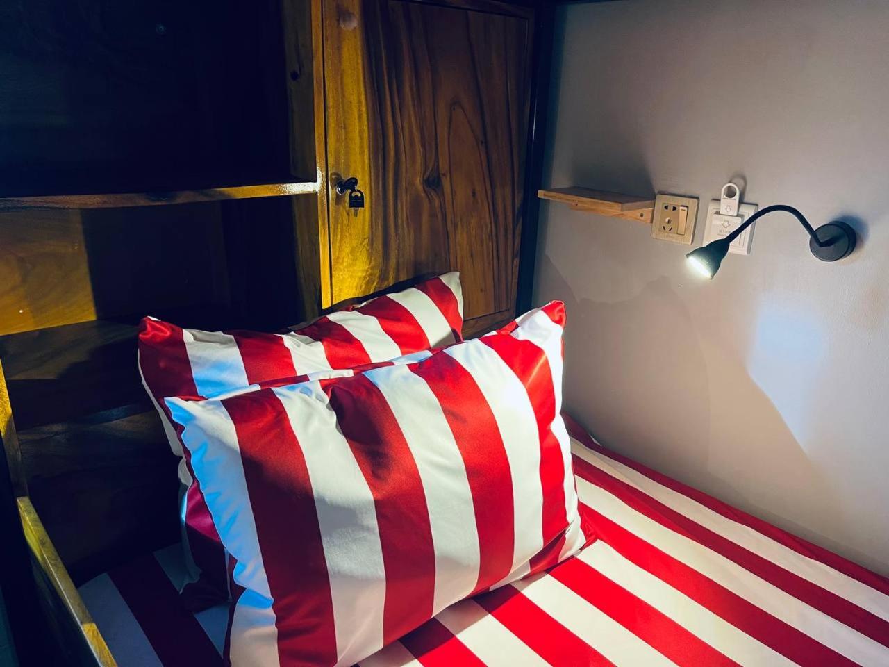 Bunk Bed in Mixed Dormitory Room photo 3