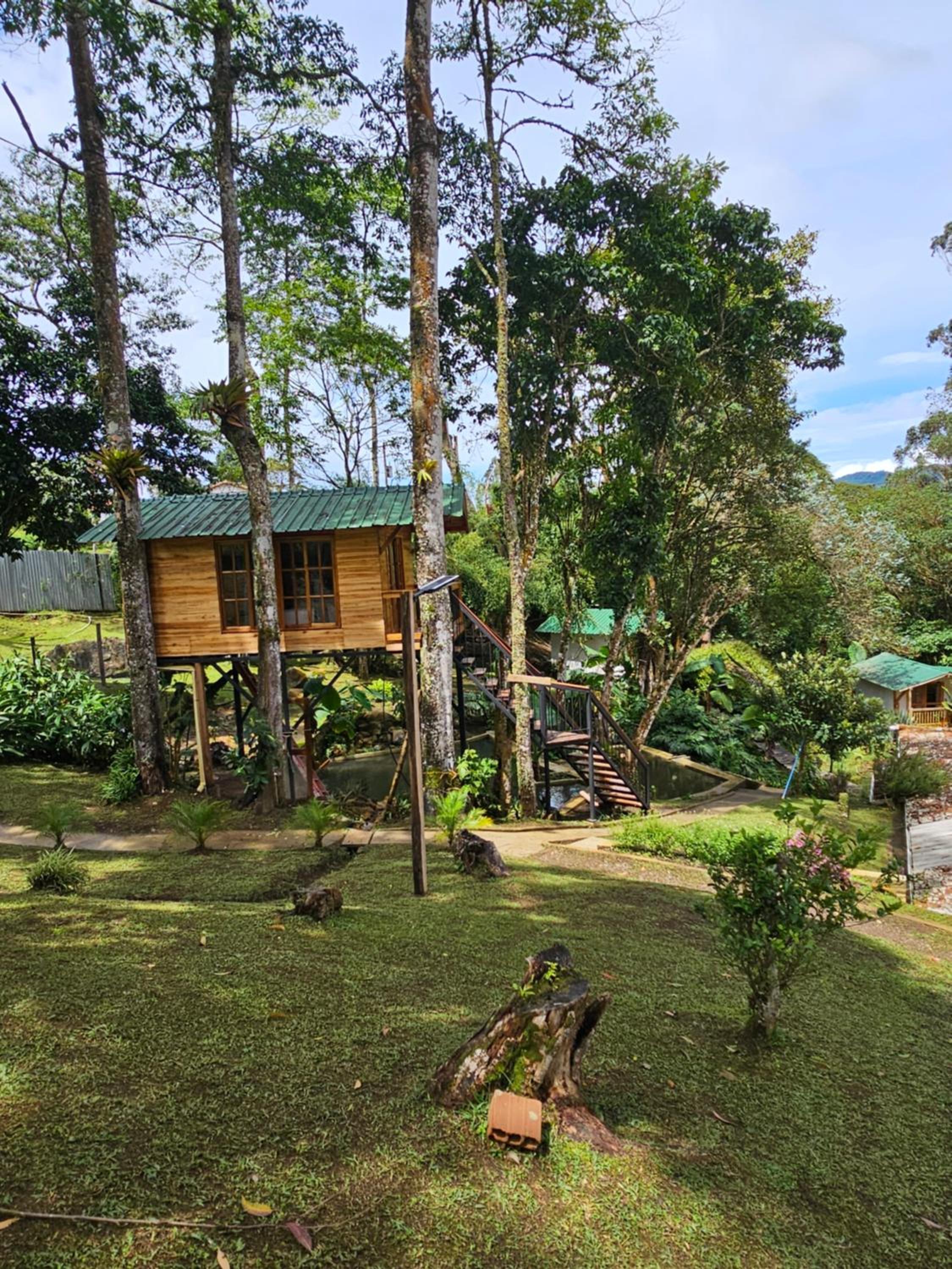 Deluxe Bungalow photo 3