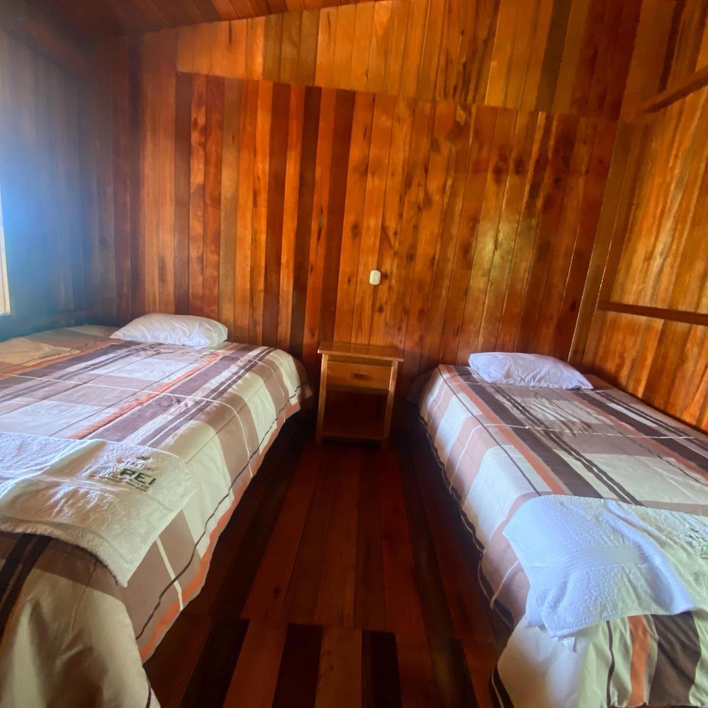 Twin Room photo 1