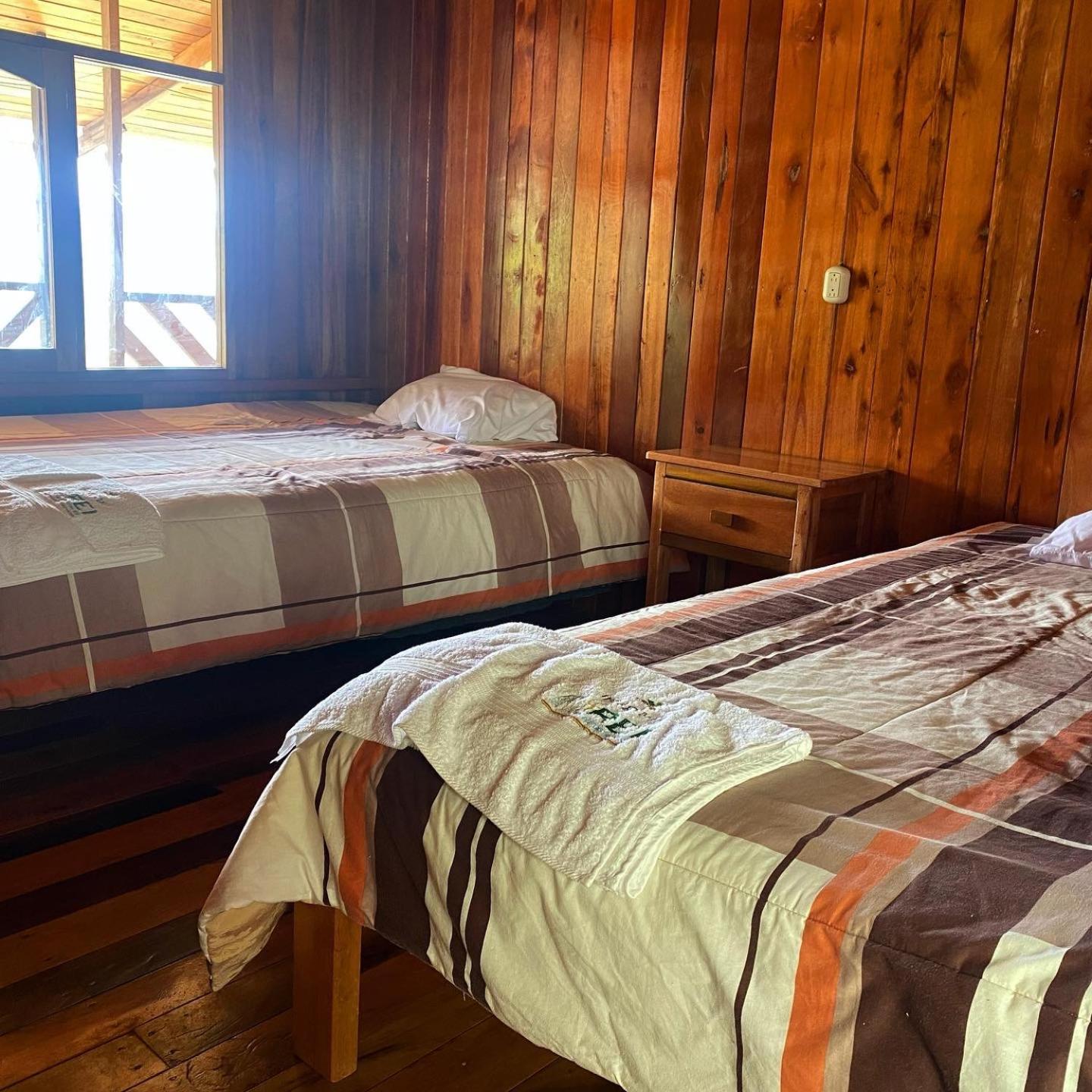Twin Room photo 3