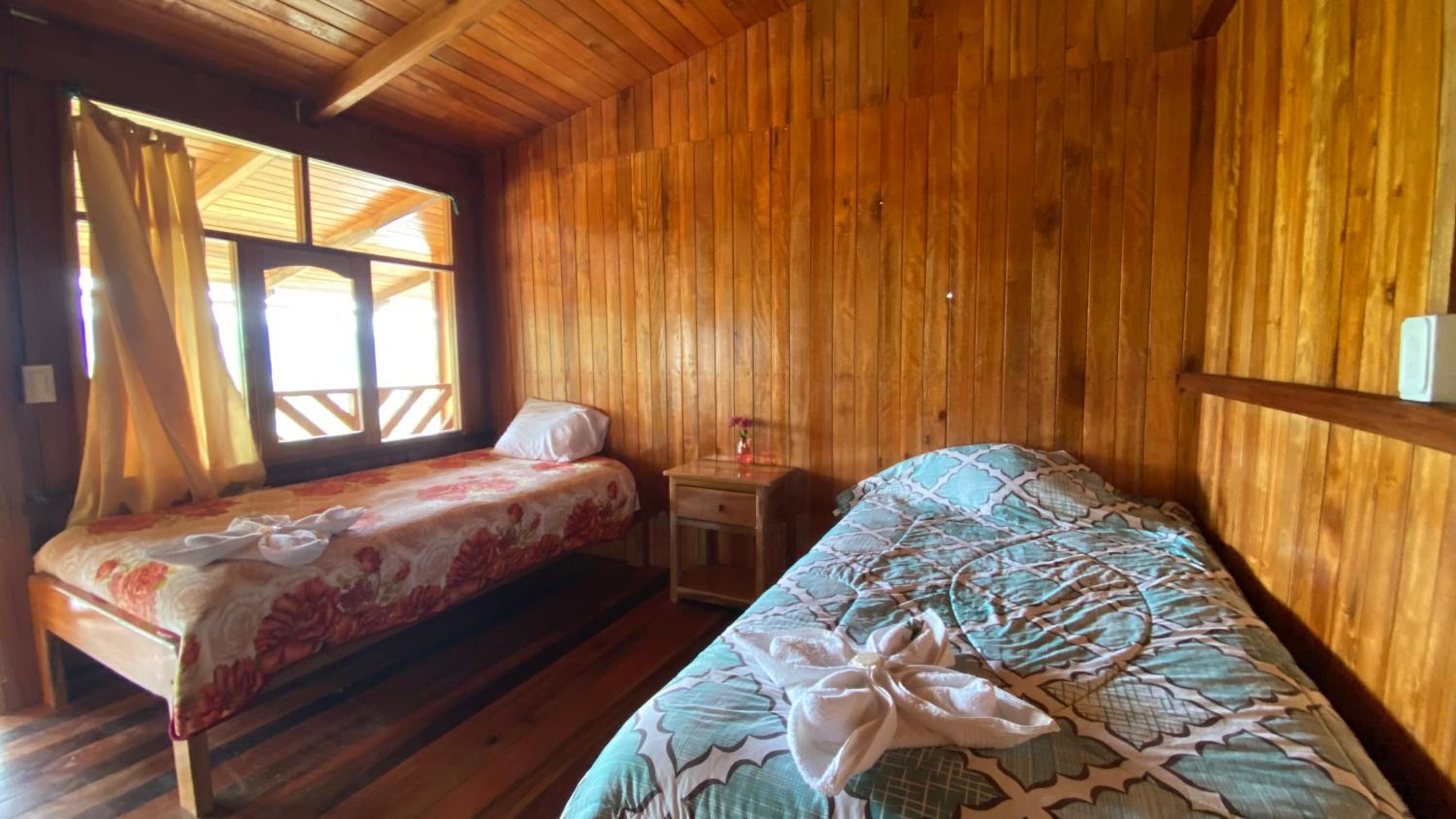 Twin Room photo 2