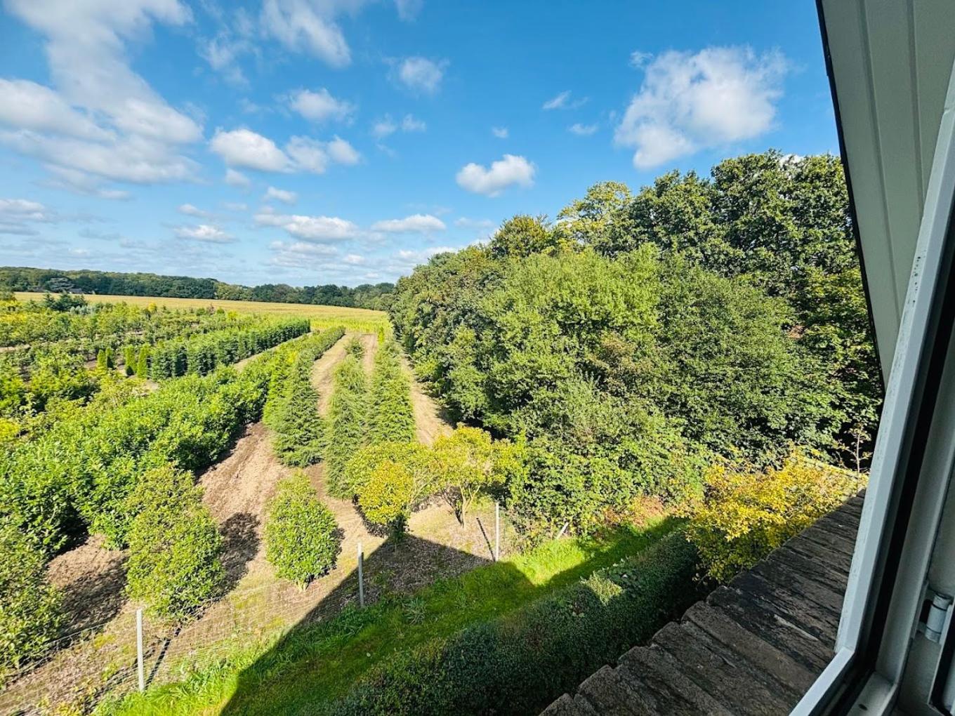 Double Room with Garden View photo 3