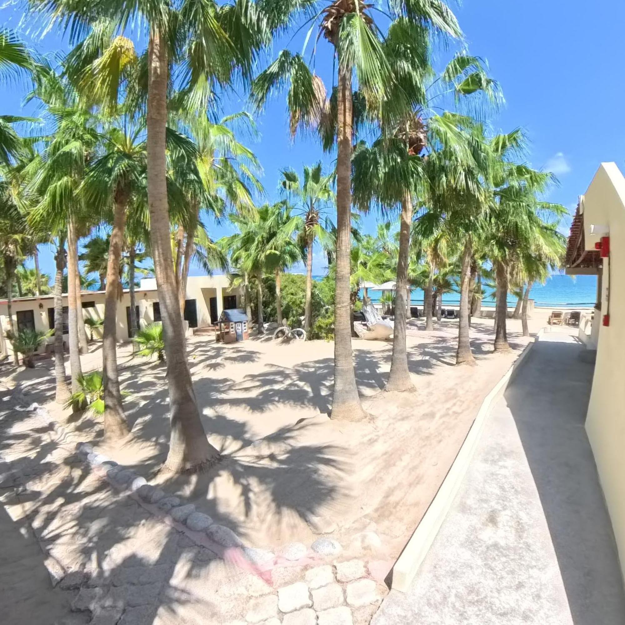 Double Room with Balcony and Sea View photo 3