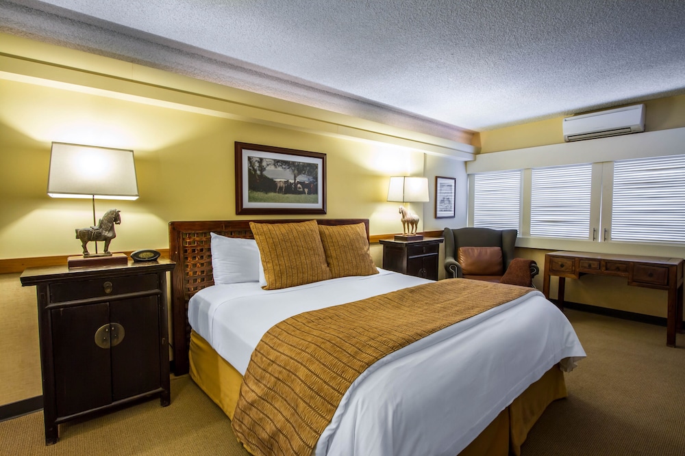Executive Room, 1 King Bed, City View - Photo 1