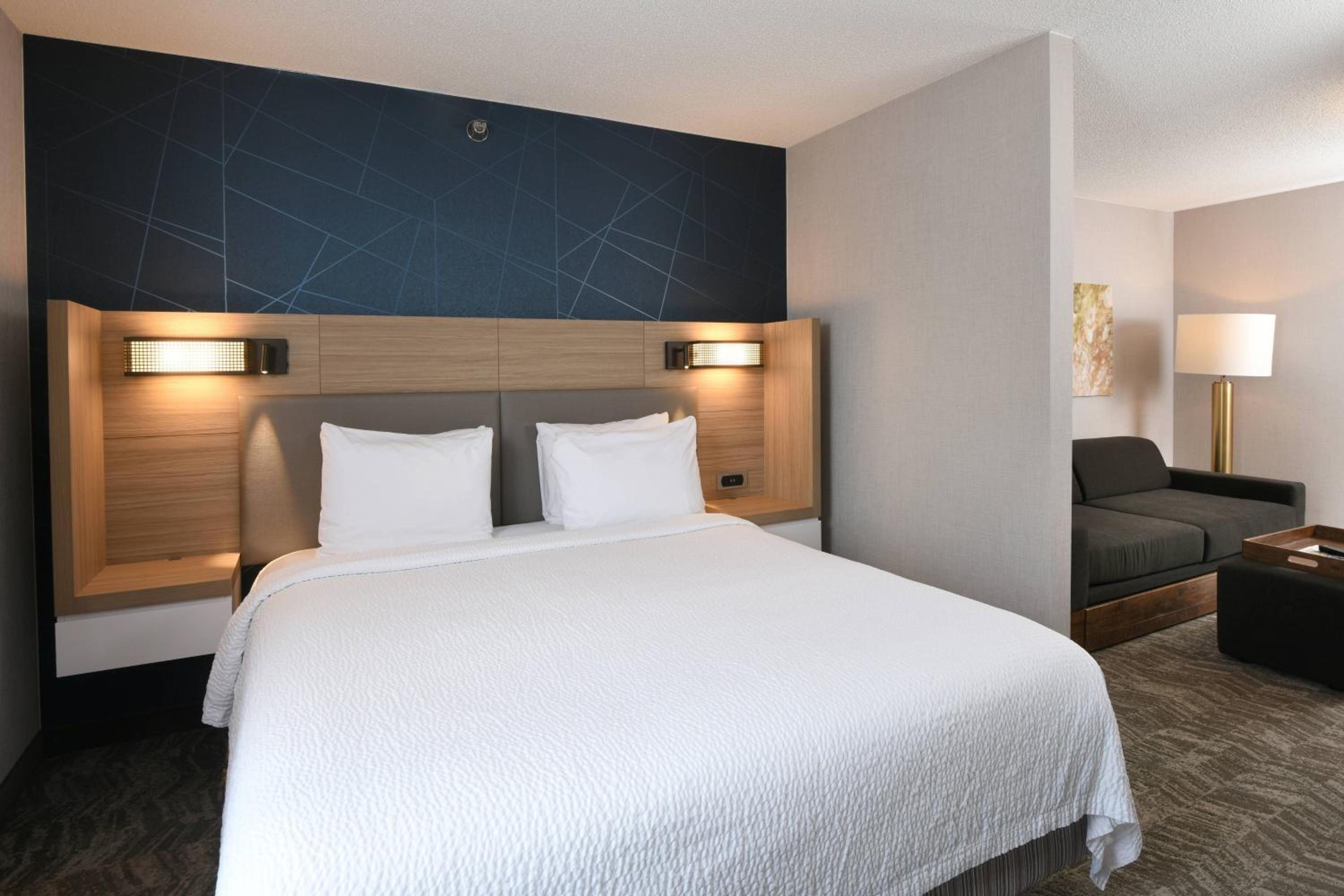 King Suite with Sofa Bed - Photo 2