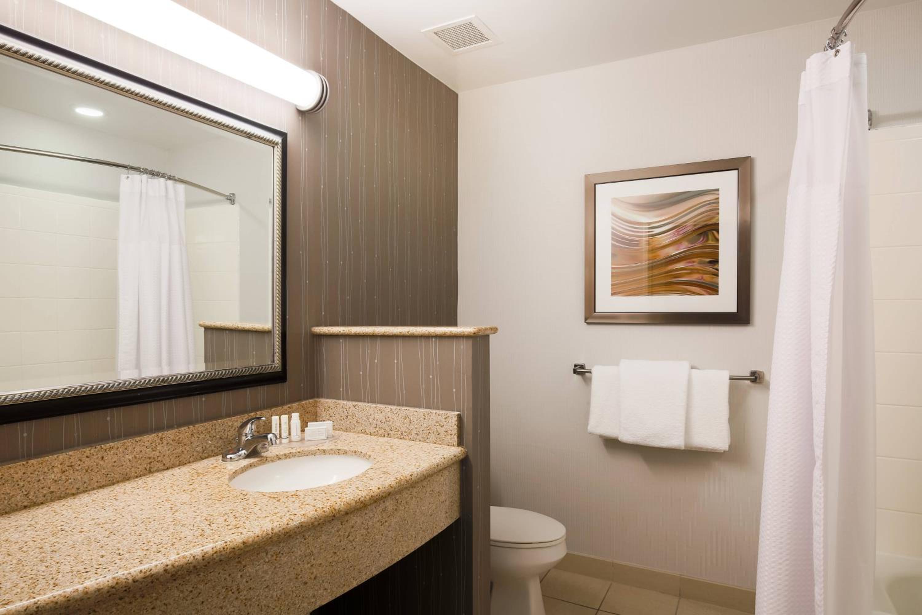 King Suite with Sofa Bed - Photo 7