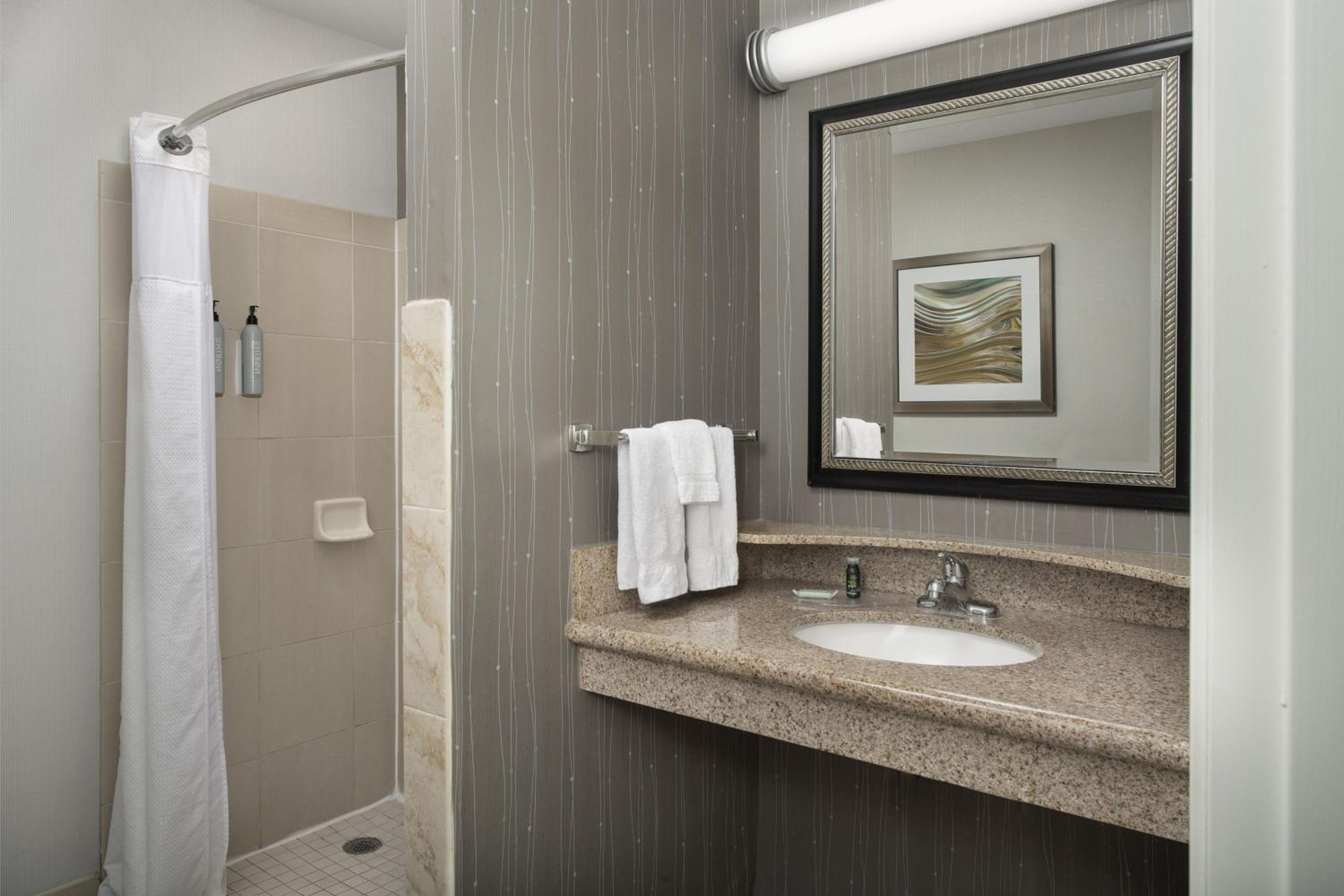King Suite with Sofa Bed - Photo 2