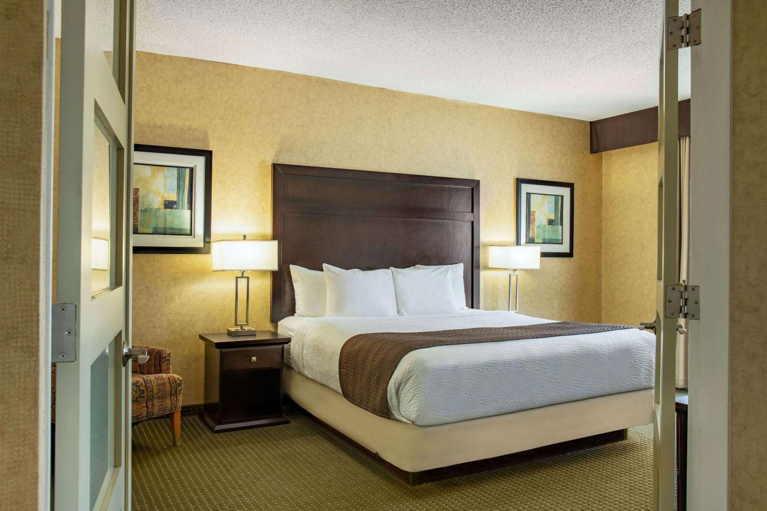 Deluxe King Suite with Sofa Bed and Kitchen - Non-Smoking - Photo 1