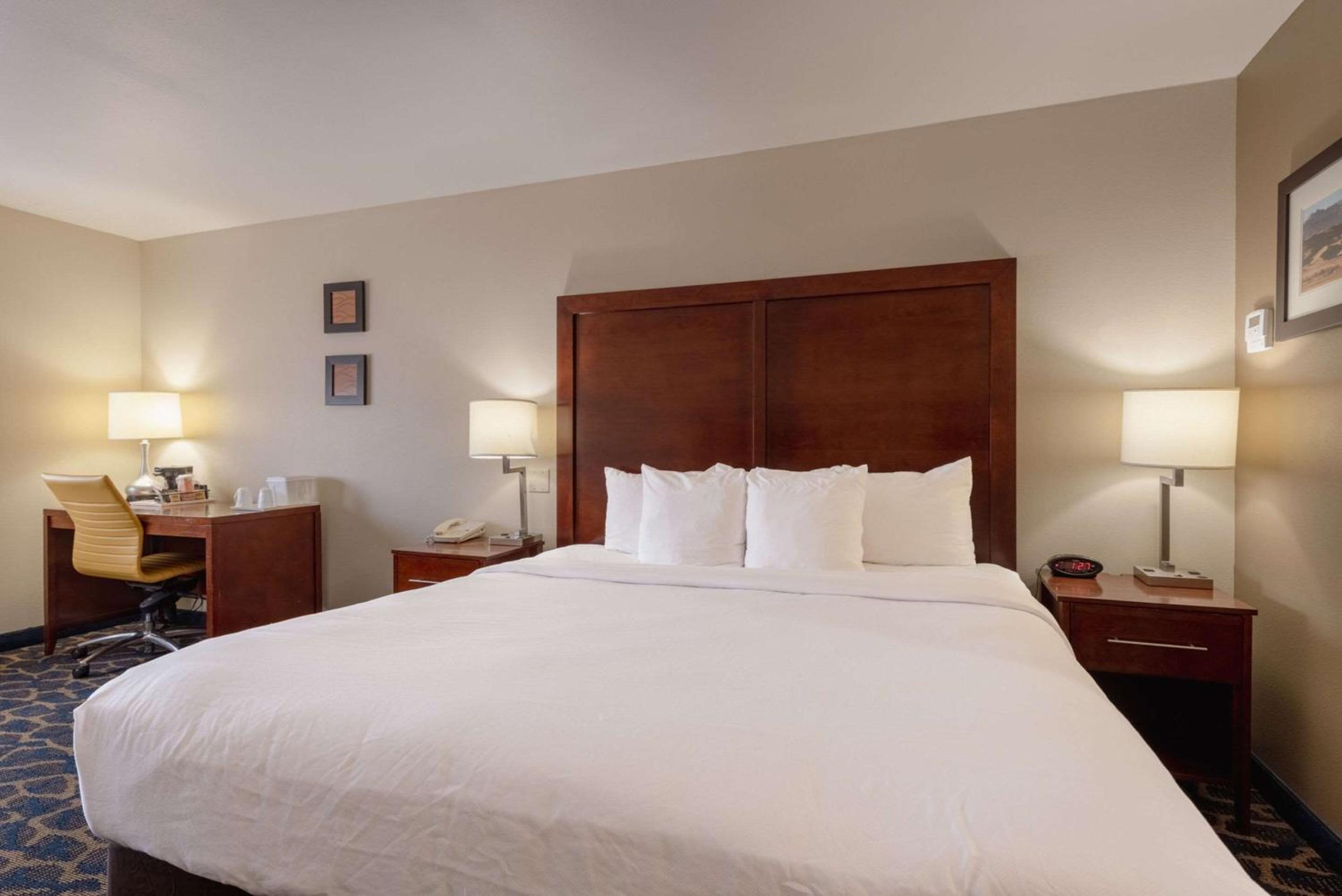 King Room - Non-Smoking - Photo 8