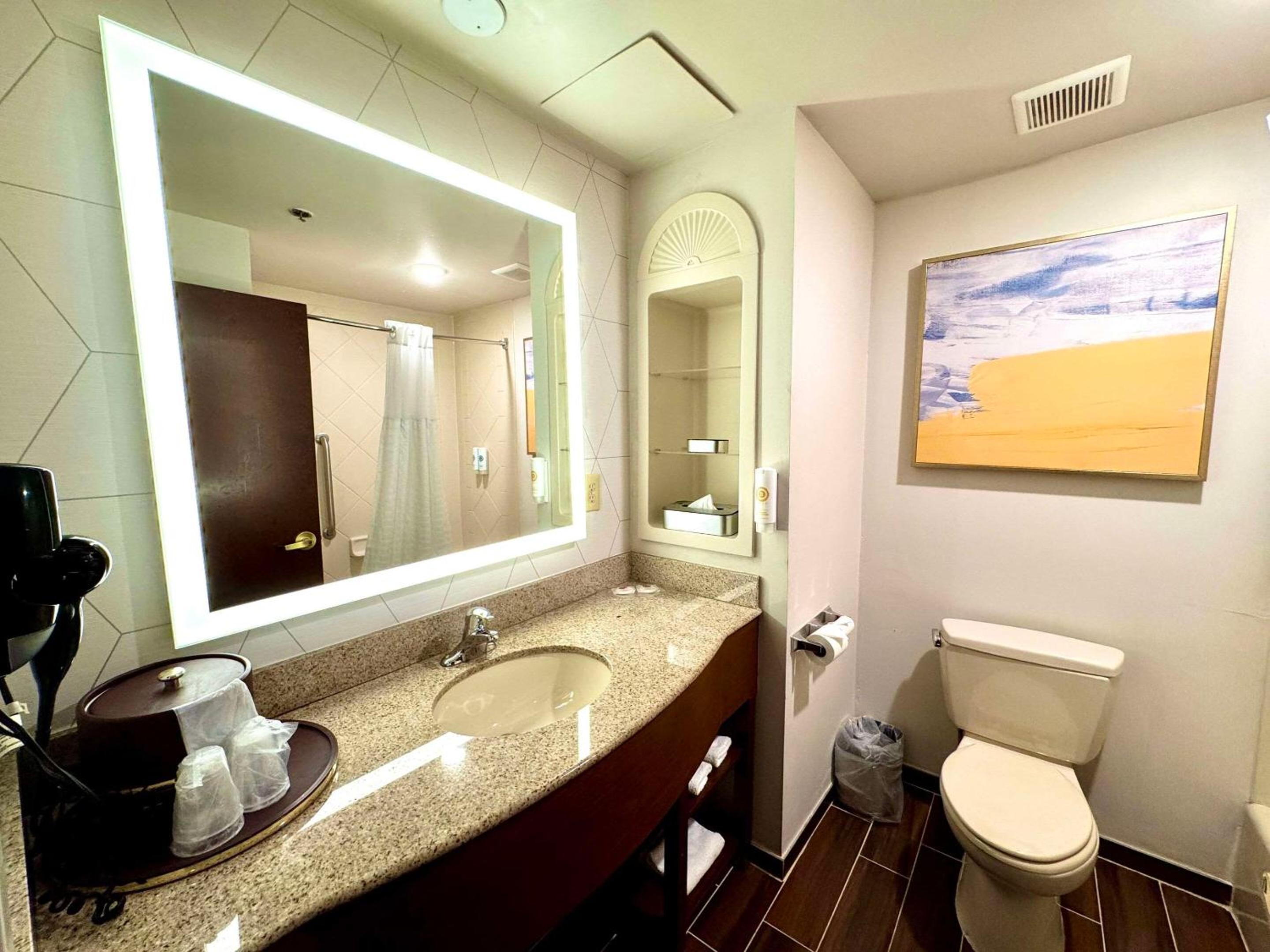 King Suite - Non-Smoking - Photo 8