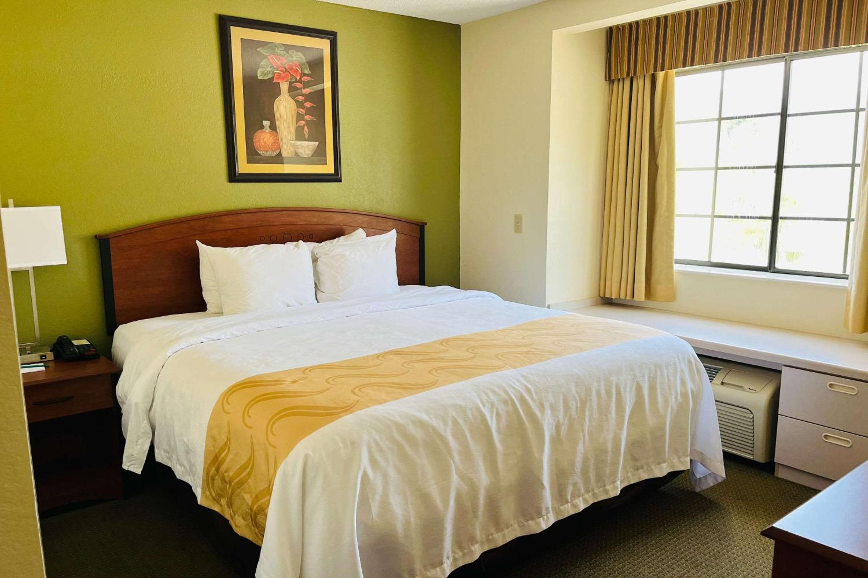 King Suite with Sofa Bed - Non-Smoking