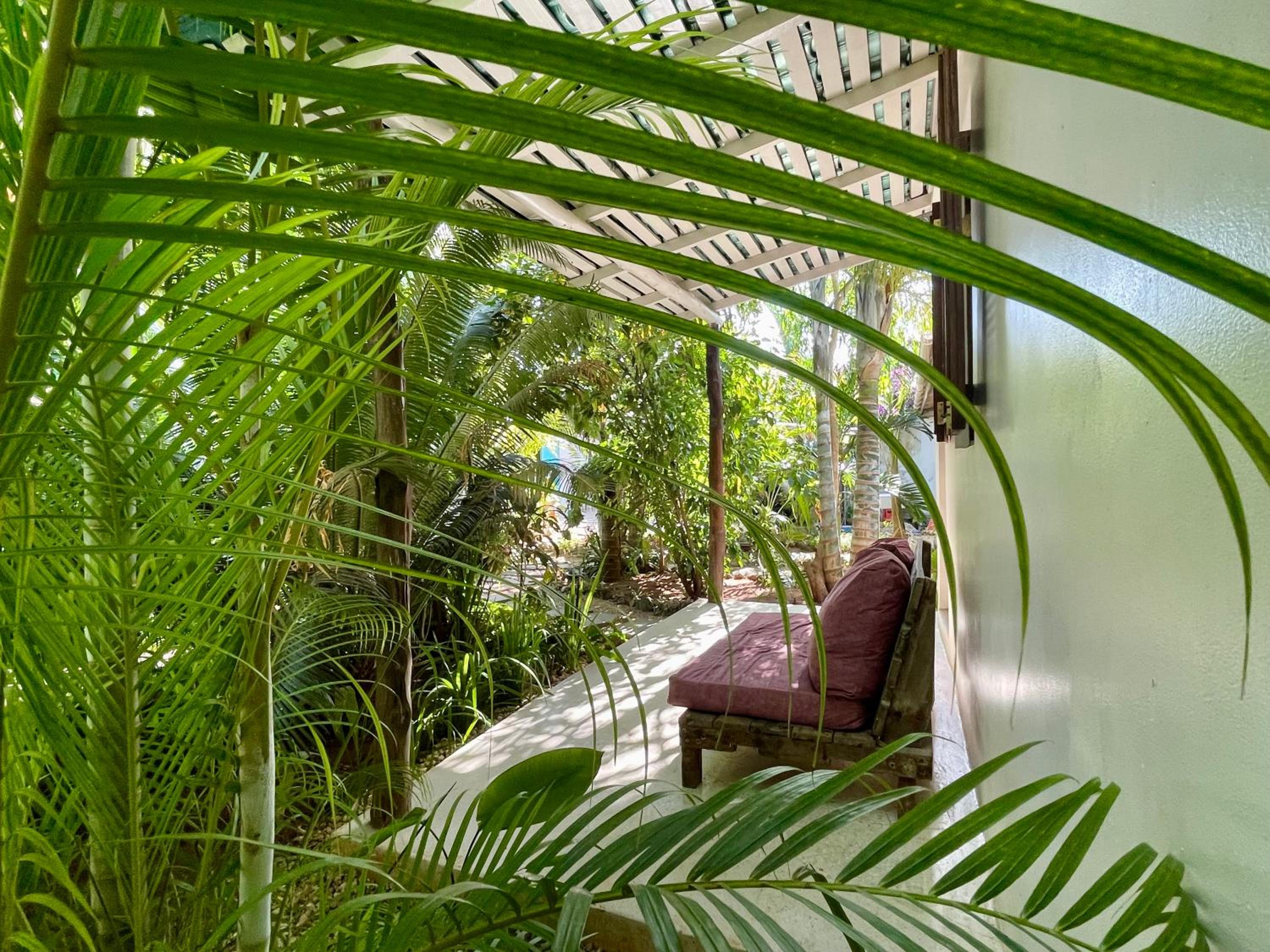 Double Room with Patio