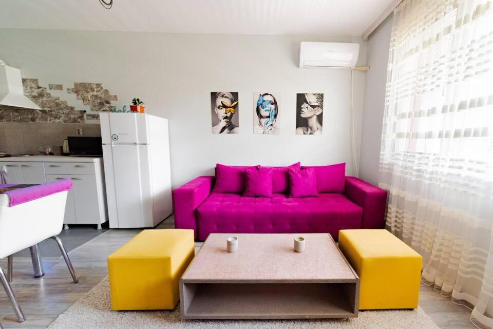 One-Bedroom Apartment photo 3