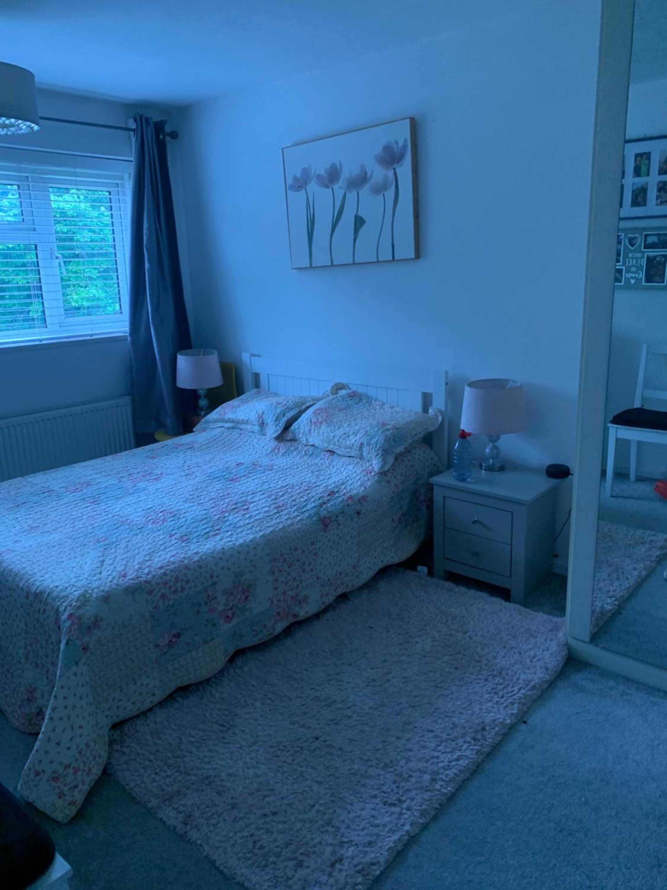 Double Room photo 1