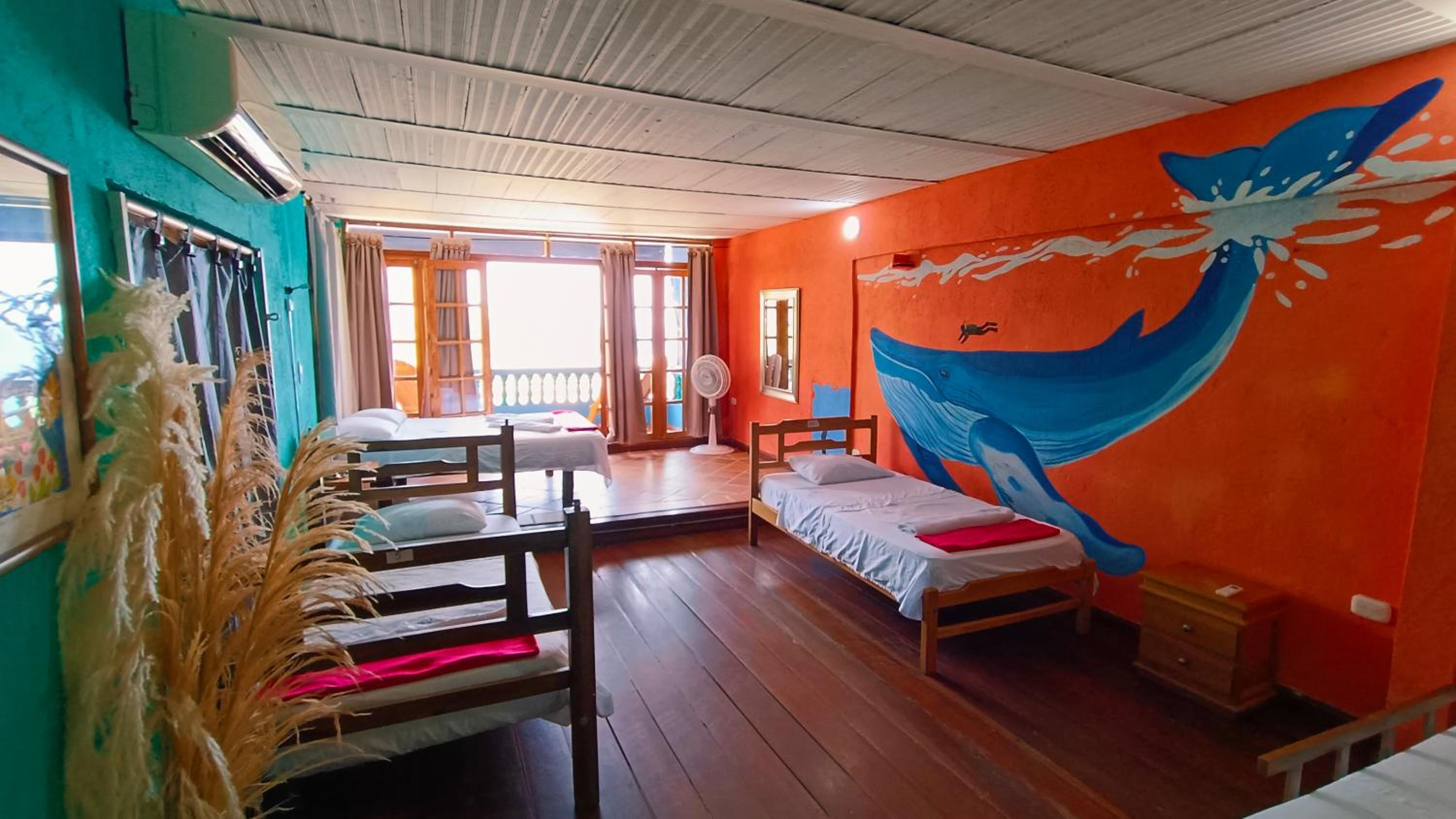 Superior apartment with sea view photo 1