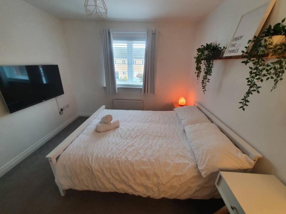 Three-Bedroom House photo 1