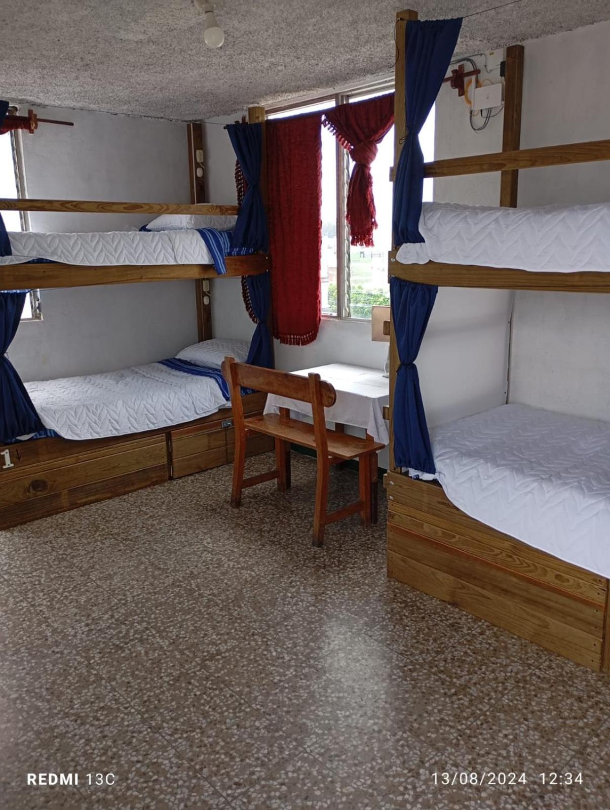 Single Bed in Mixed Dormitory Room photo 1