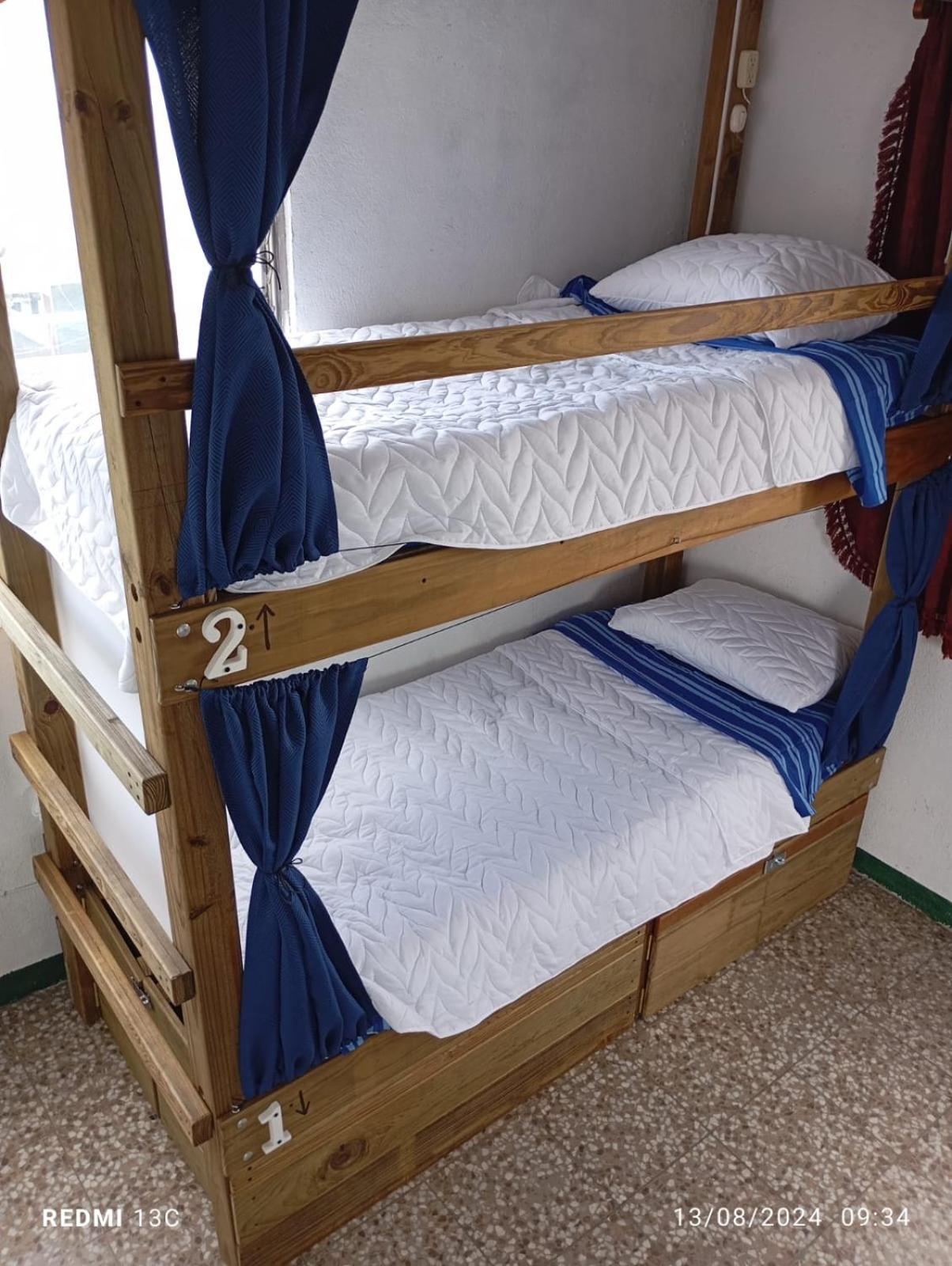 Single Bed in Mixed Dormitory Room photo 3