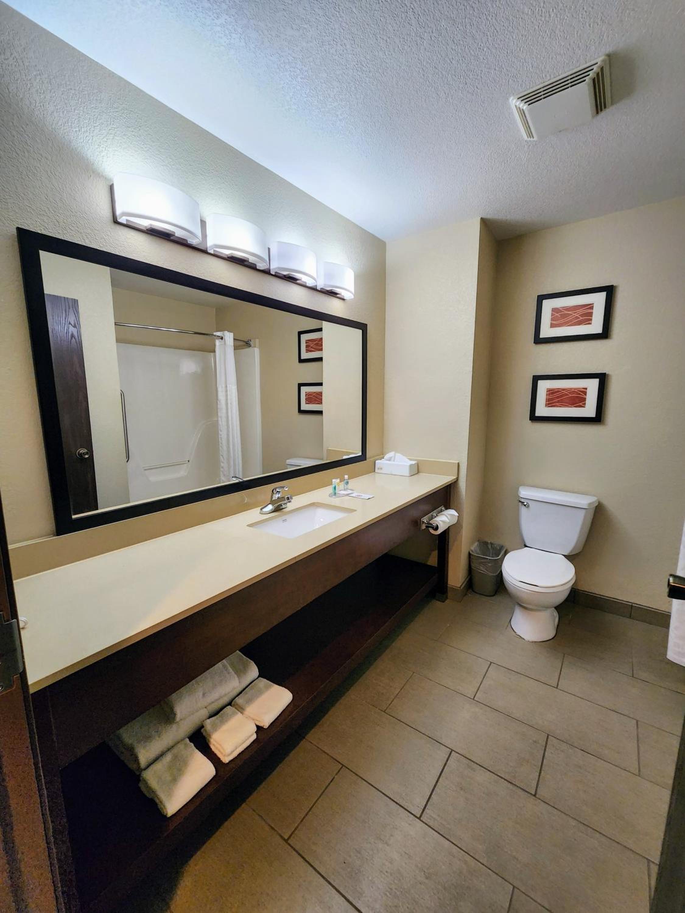 King Suite - Non-Smoking - Photo 4