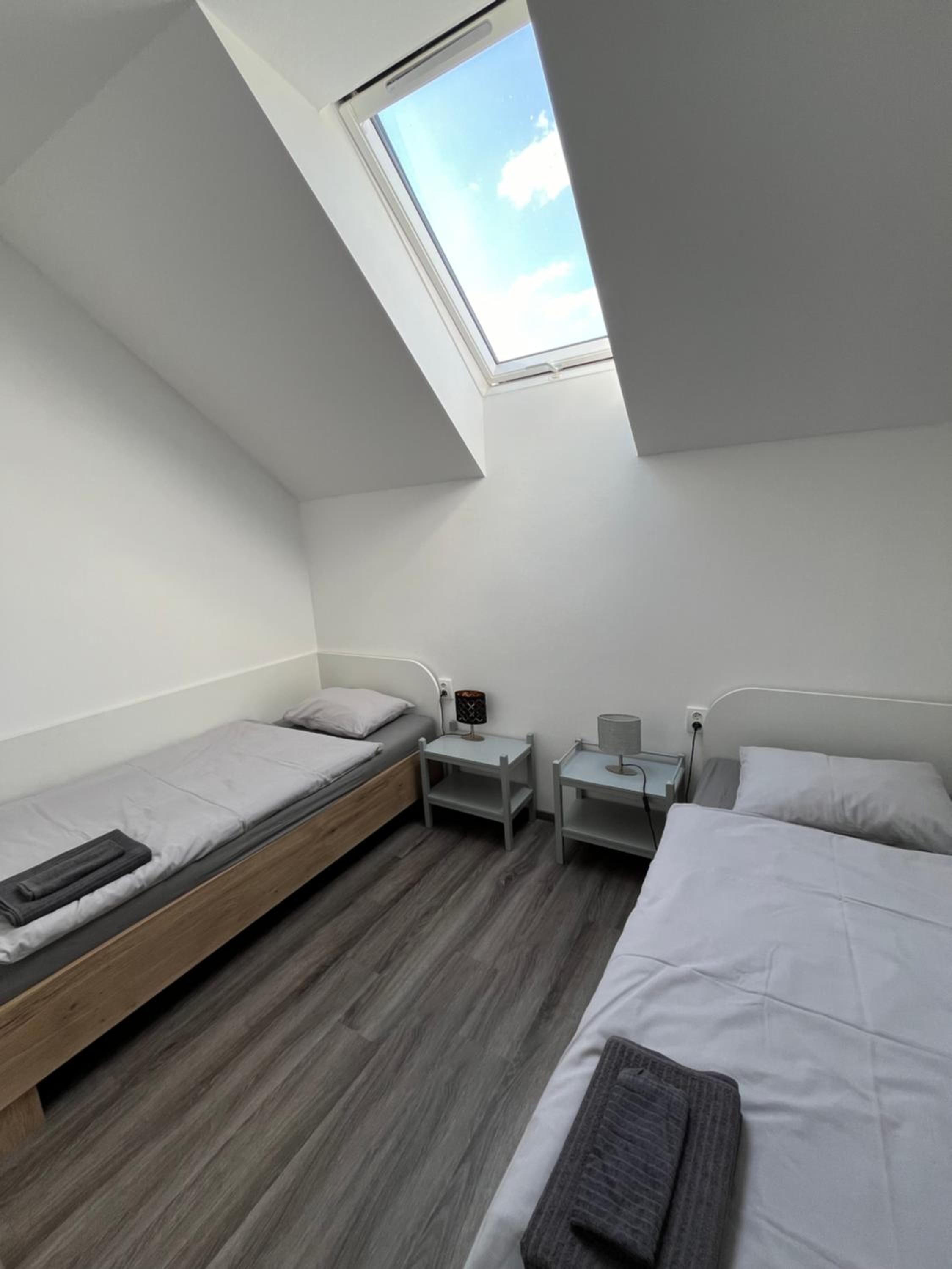 Twin Room photo 3