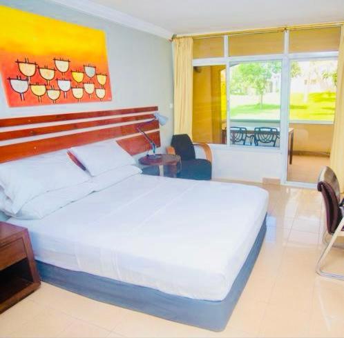 Single Room With Terrace