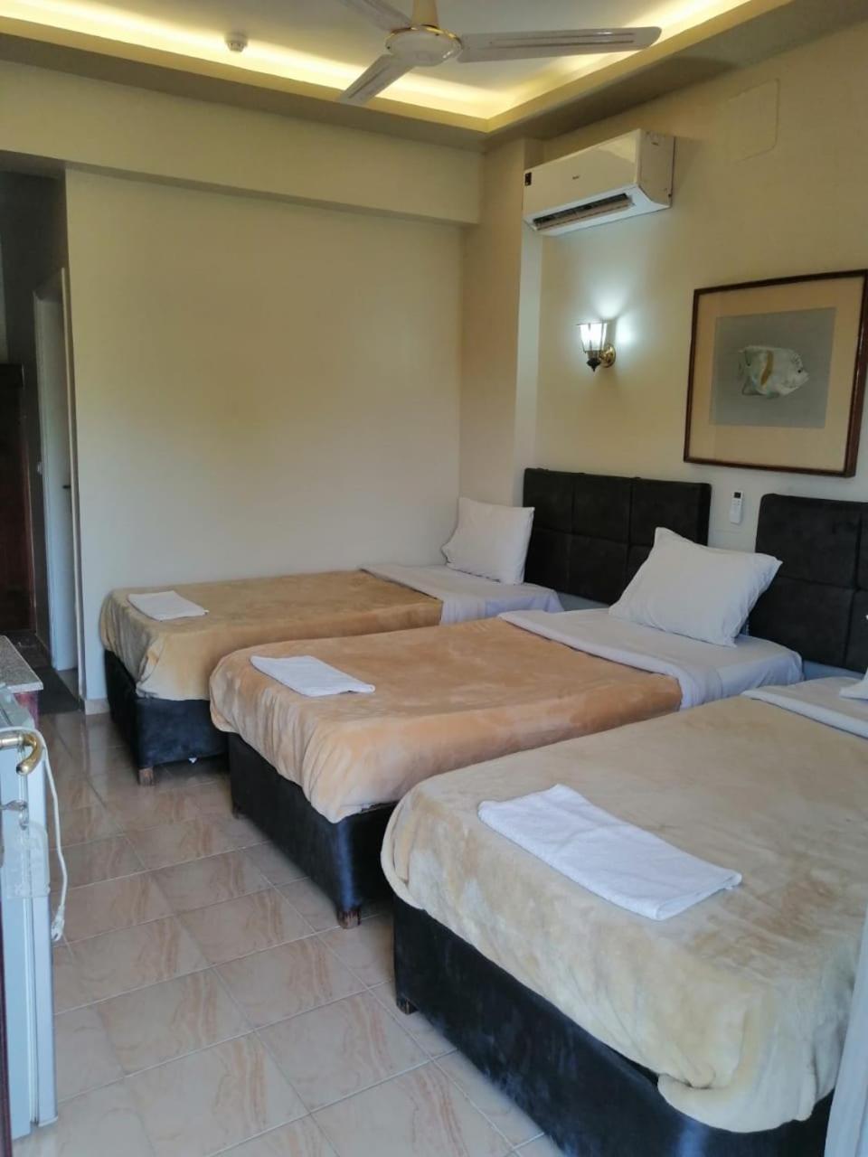 Budget Triple Room photo 2