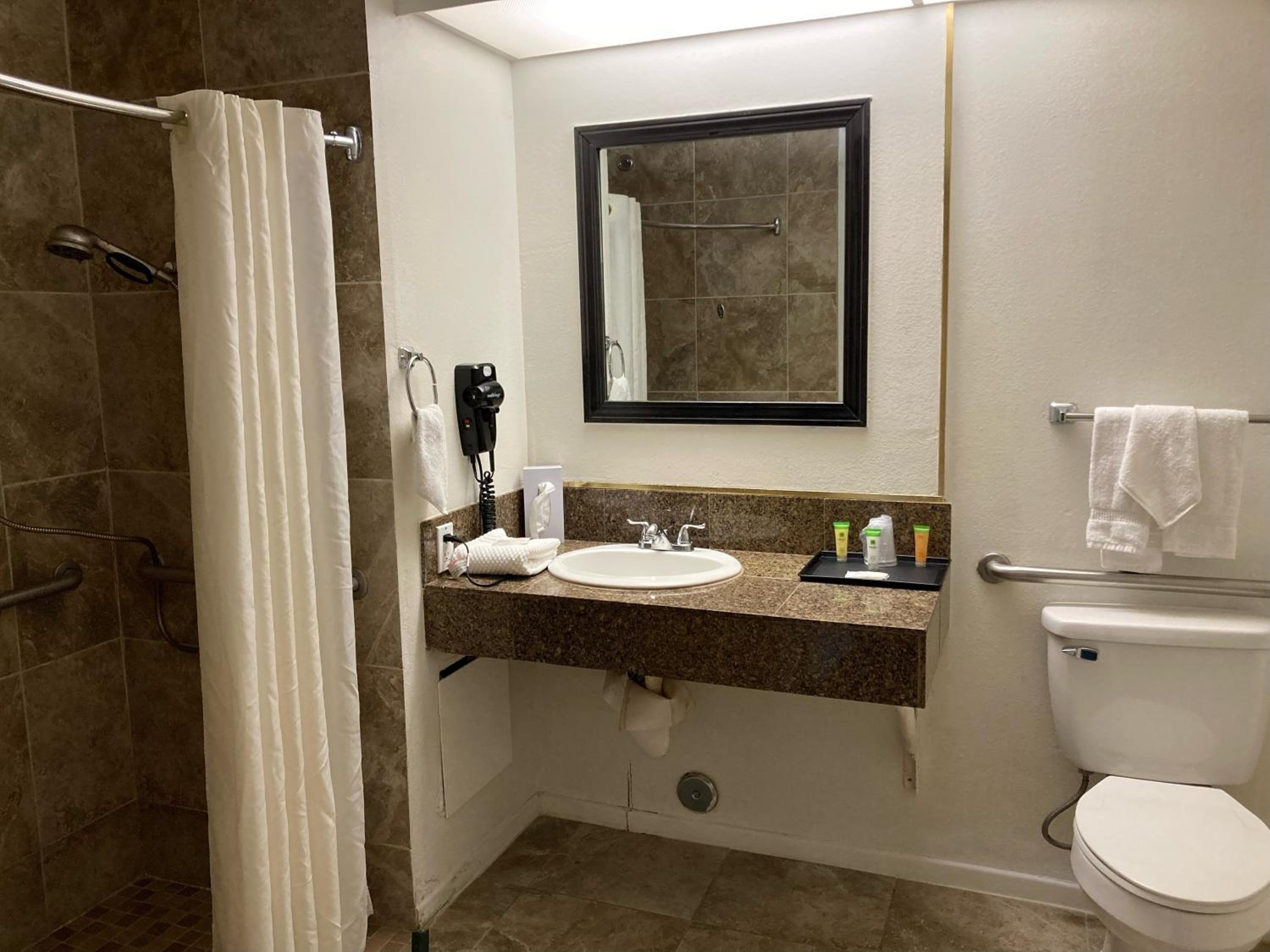 King Suite - Photo 4