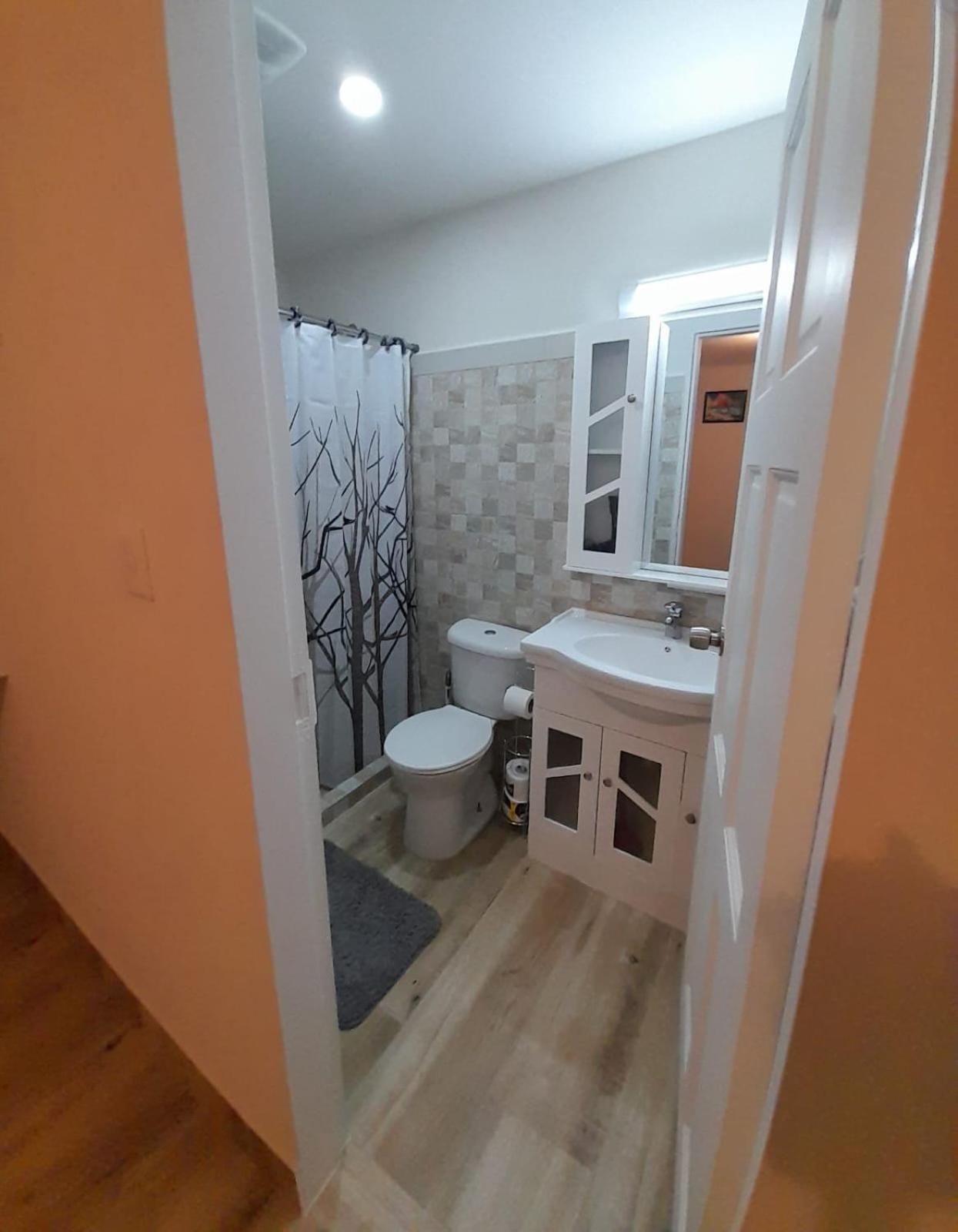 One-Bedroom Apartment photo 3