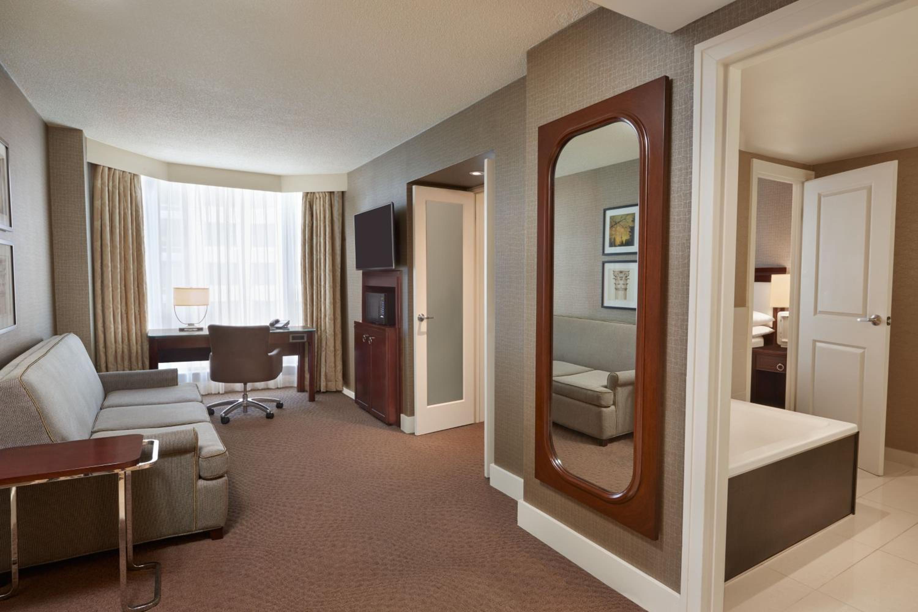 Premium 1 Bedroom Suite with a 1 King Bed - Photo 7