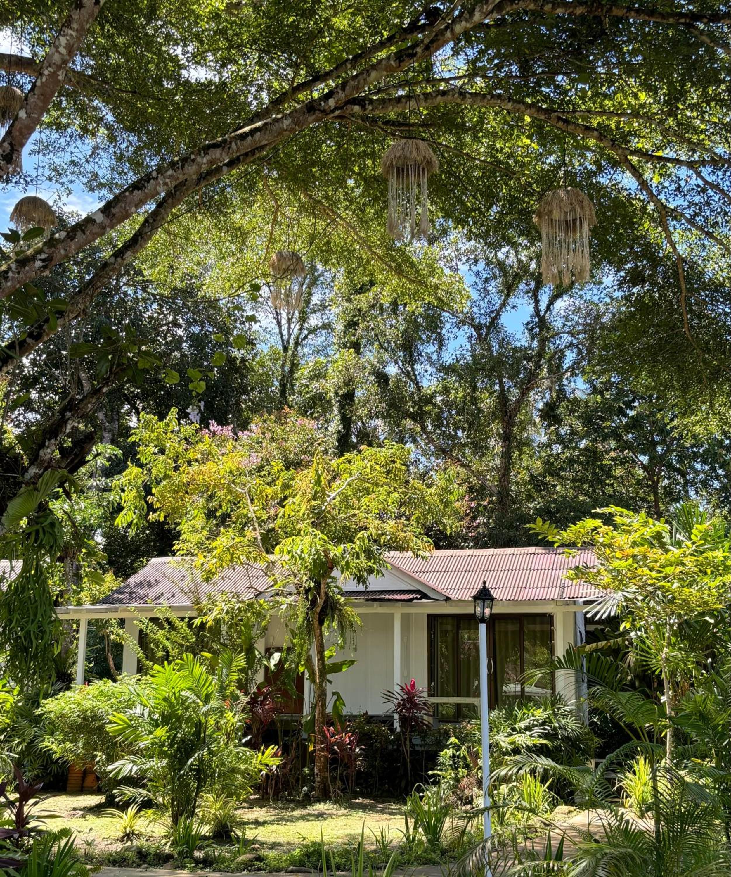 Standard Bungalow - Photo 21