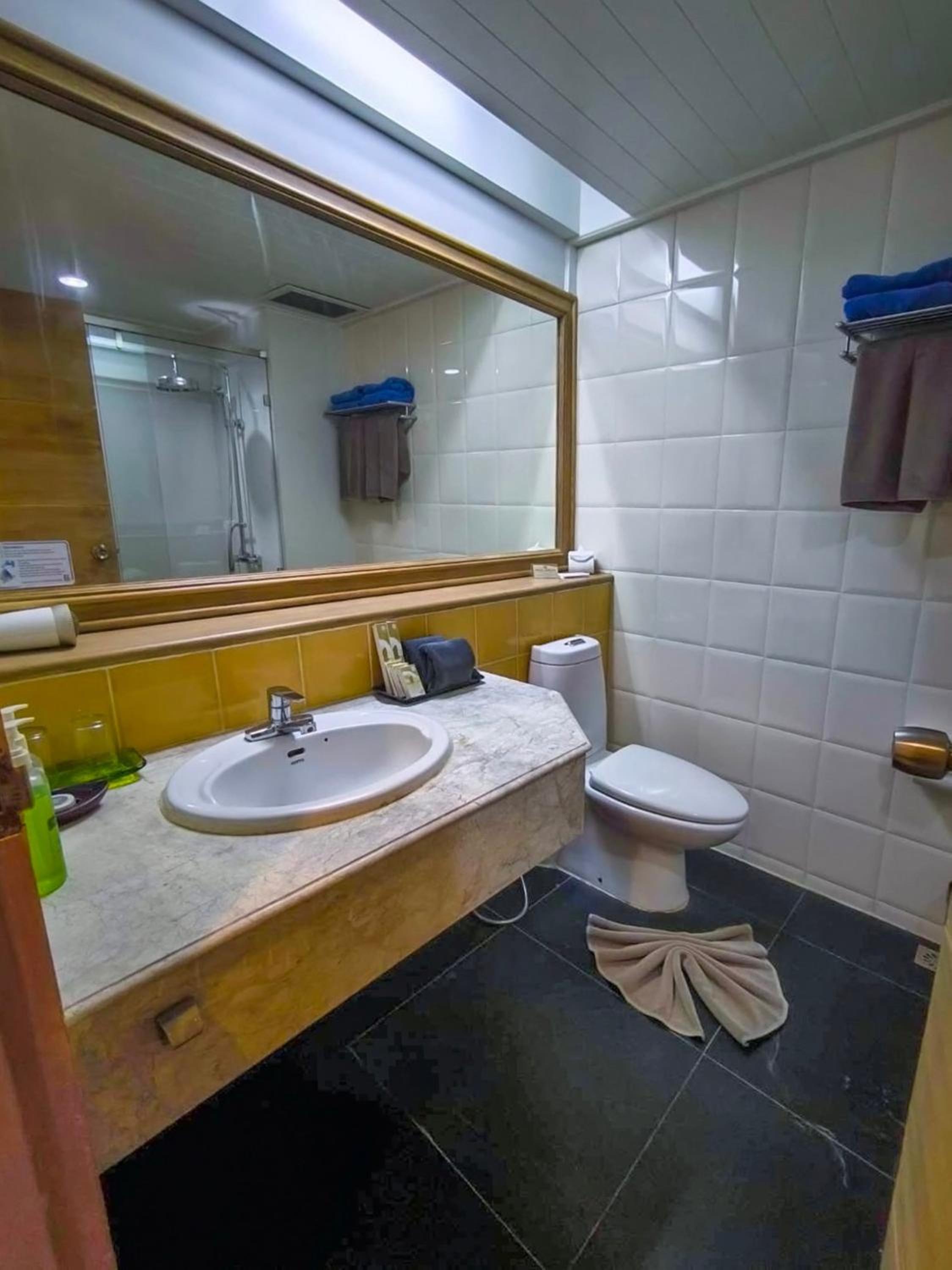 Deluxe Double or Twin Room photo 2