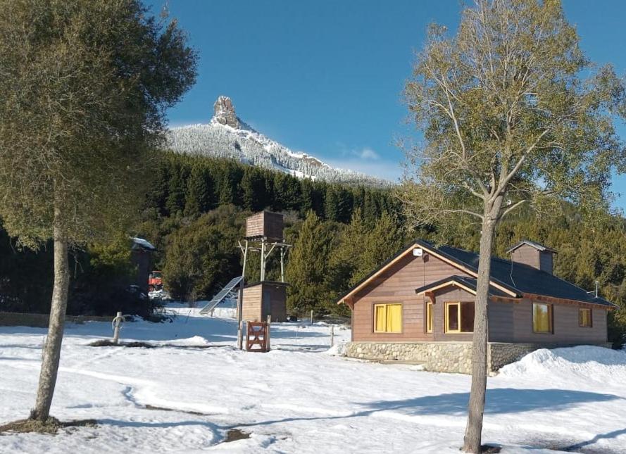 Two-Bedroom Chalet photo 2