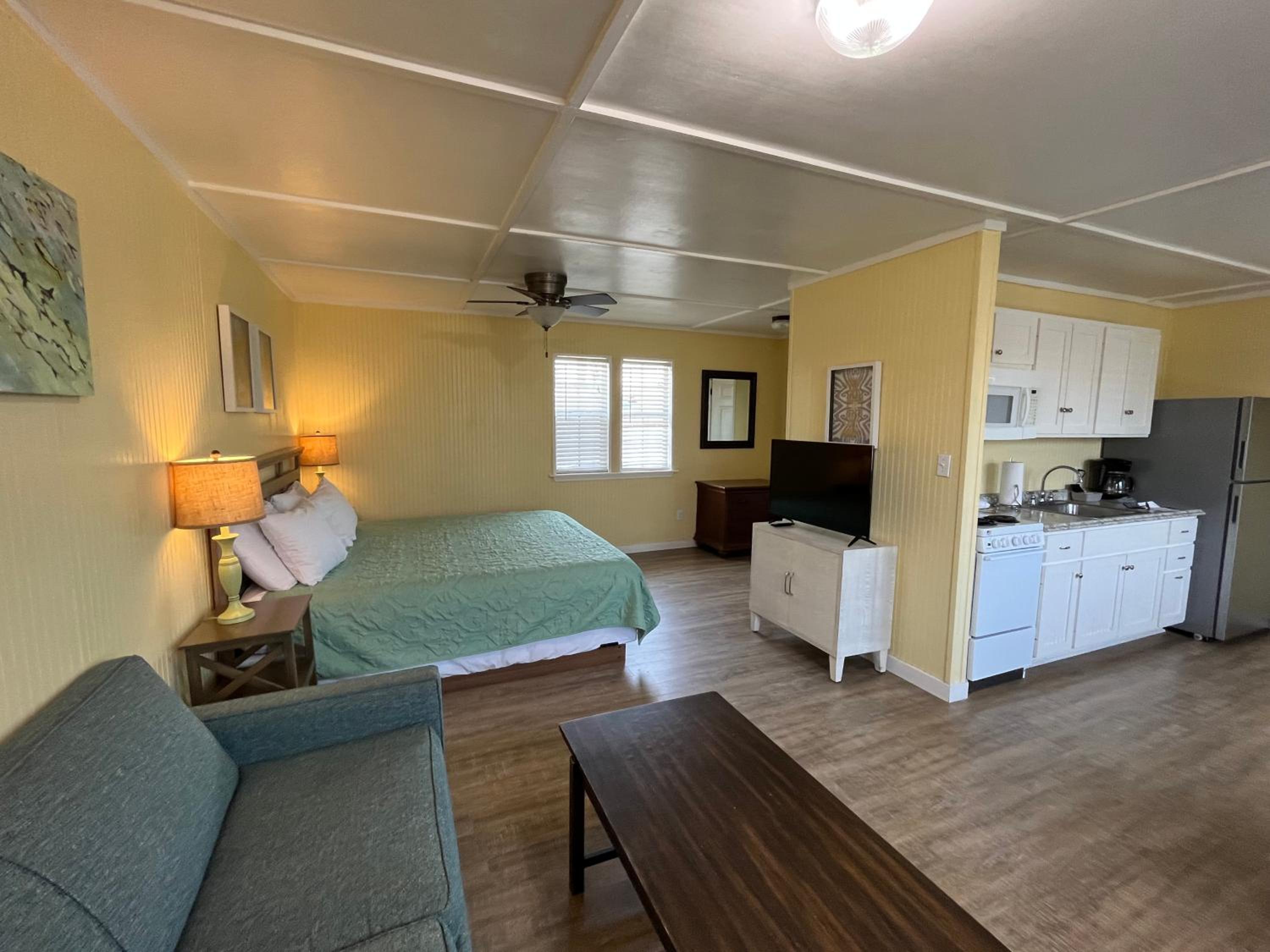 Deluxe King Suite - Photo 1