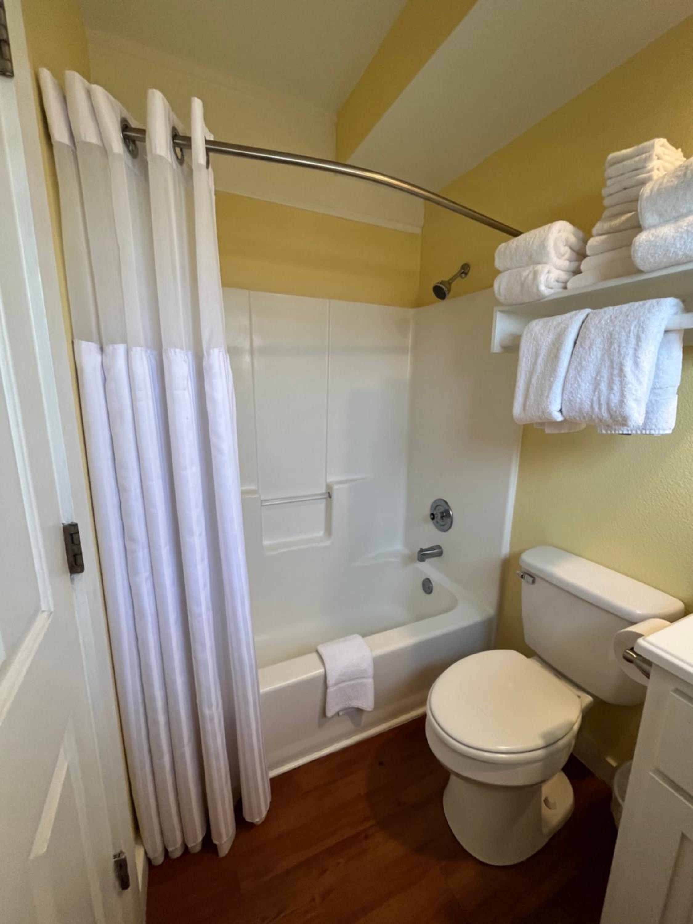 One-Bedroom Suite - Photo 4